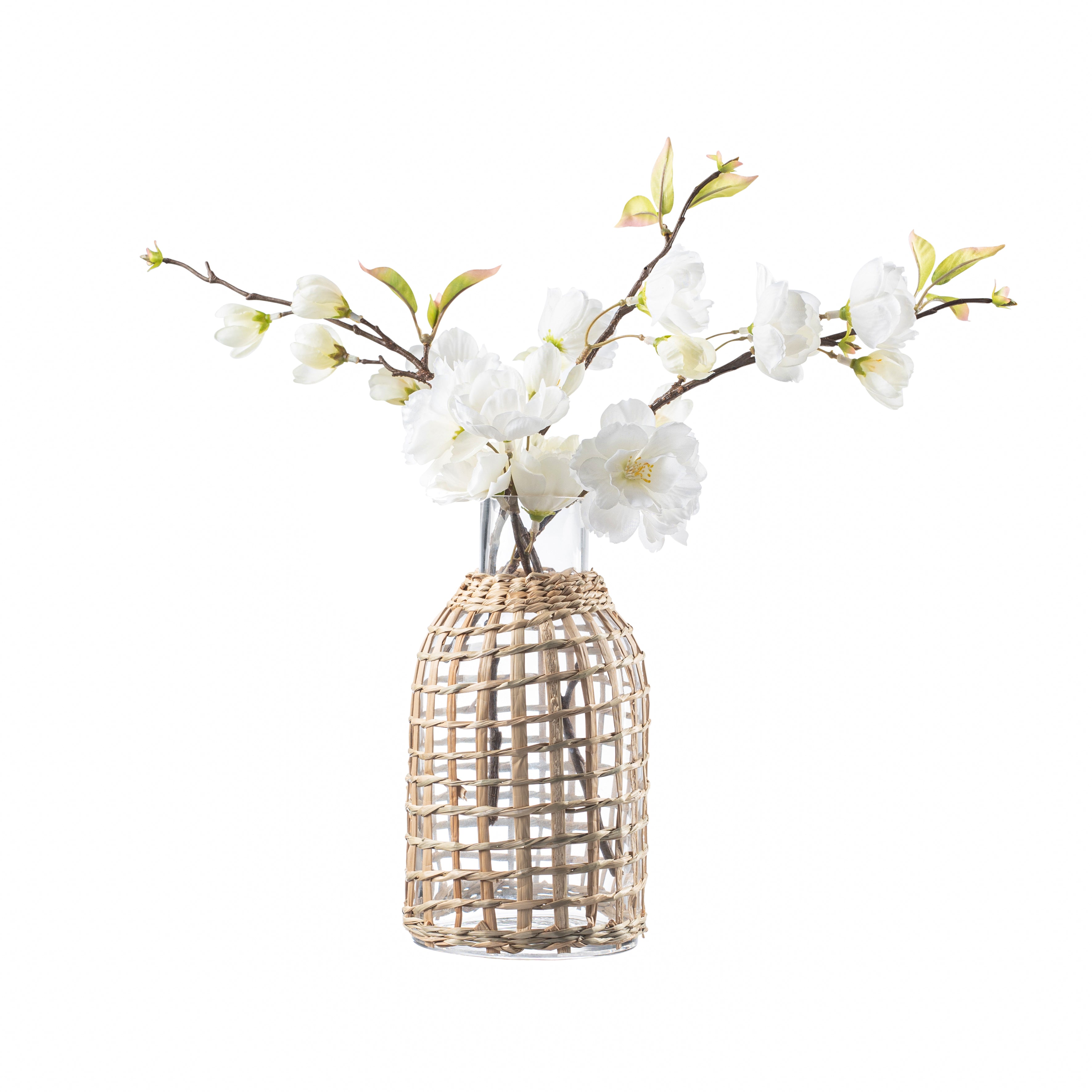  Jaxon Vase、mySite、elrpsem3k