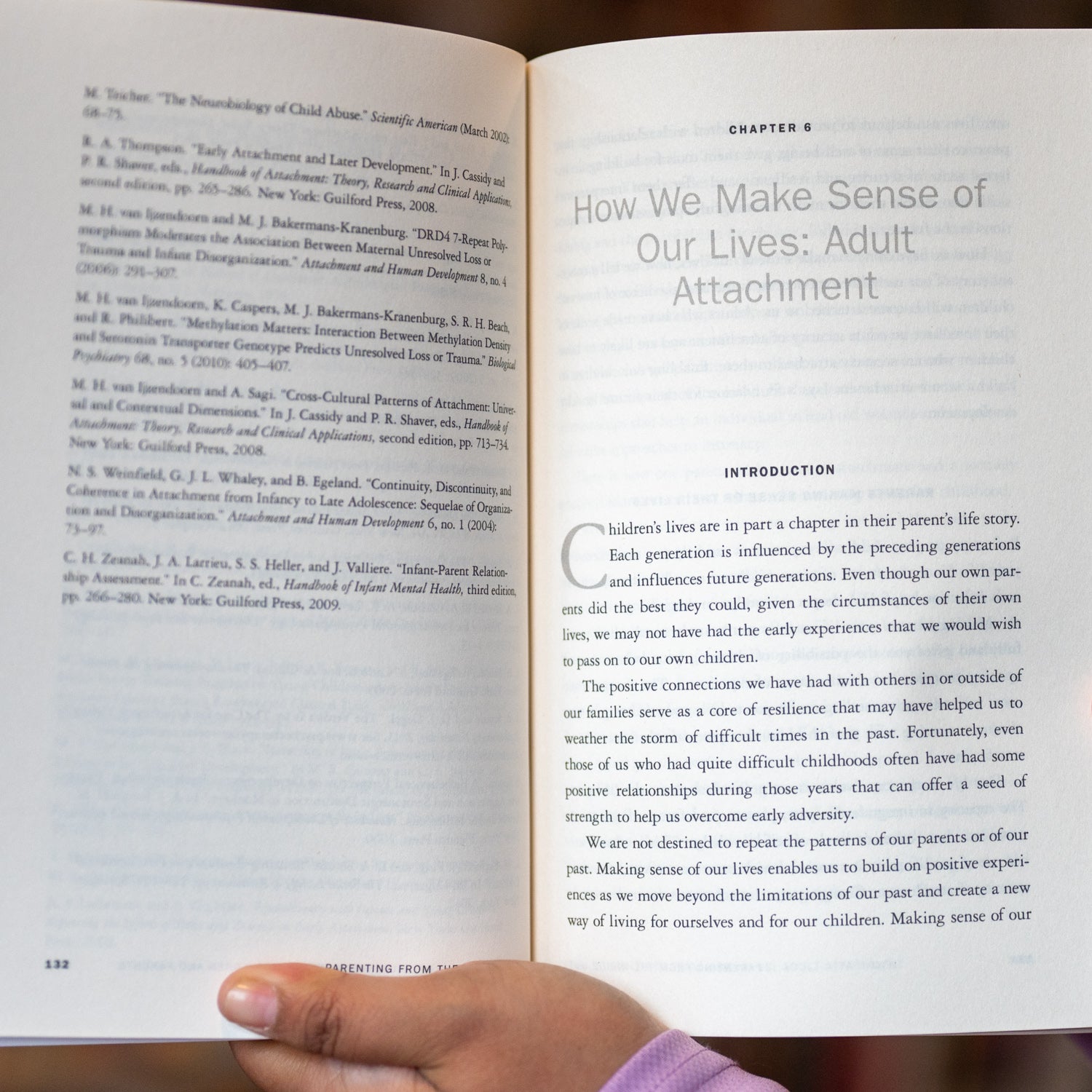 Parenting from the Inside Out、mySite、topwebapps