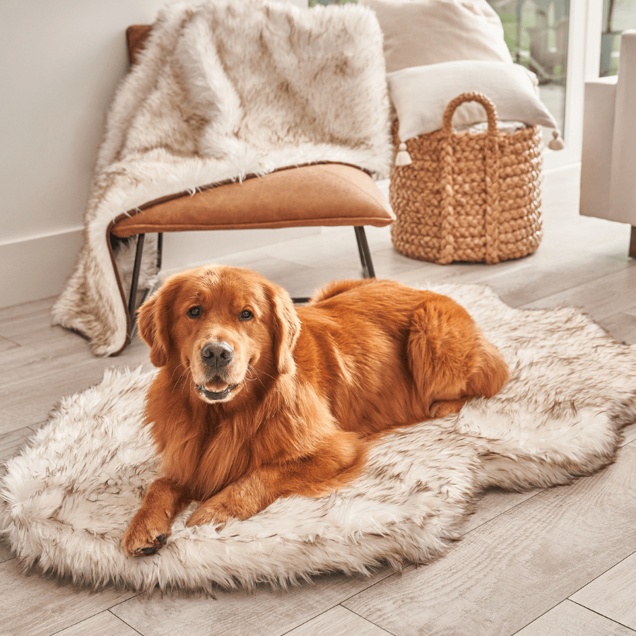PupRug by Paw.com™ Faux Fur Orthopedic Dog Bed - Curve White with Brown Accents、mySite、solidvoid