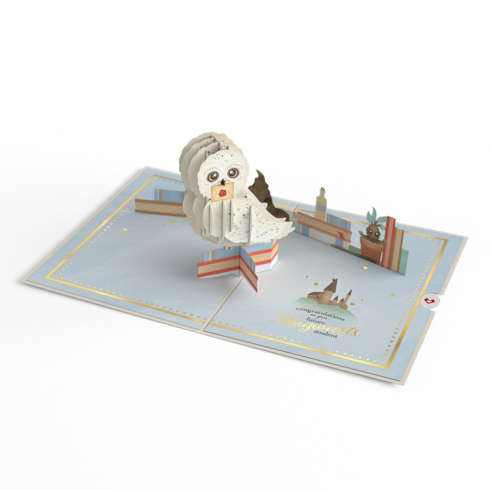 Harry Potter™ Special Delivery Baby Pop-Up Card、mySite、solidvoid