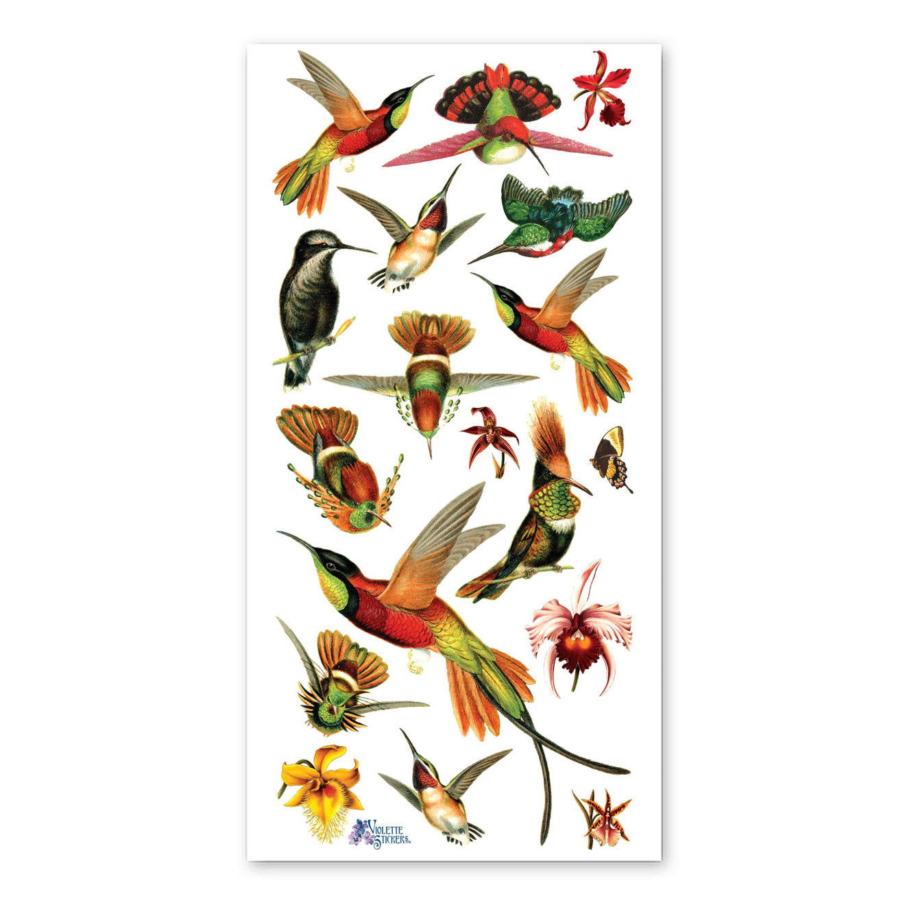  Hummingbirds Stickers、mySite、ghnorth