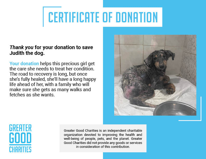 Funded: Save Judith's Skin From Infection、mySite、camillekostekn