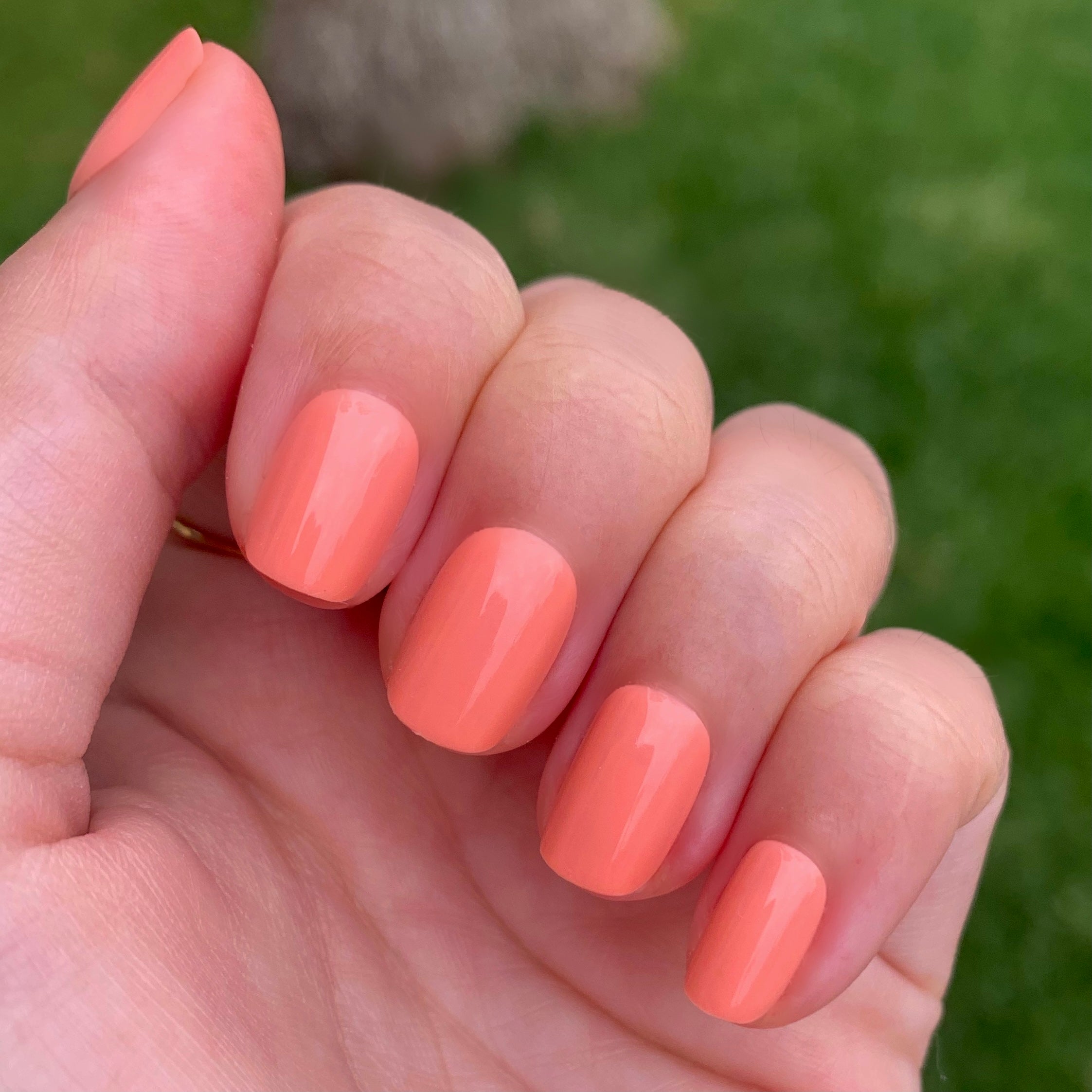 Wild & Free | Squoval | Extra Short、mySite、solidvoid