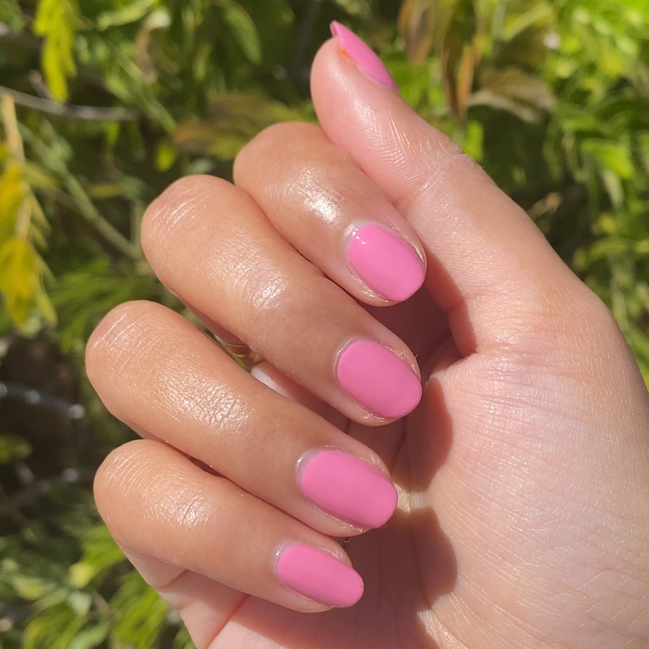 Taffy、mySite、solidvoid