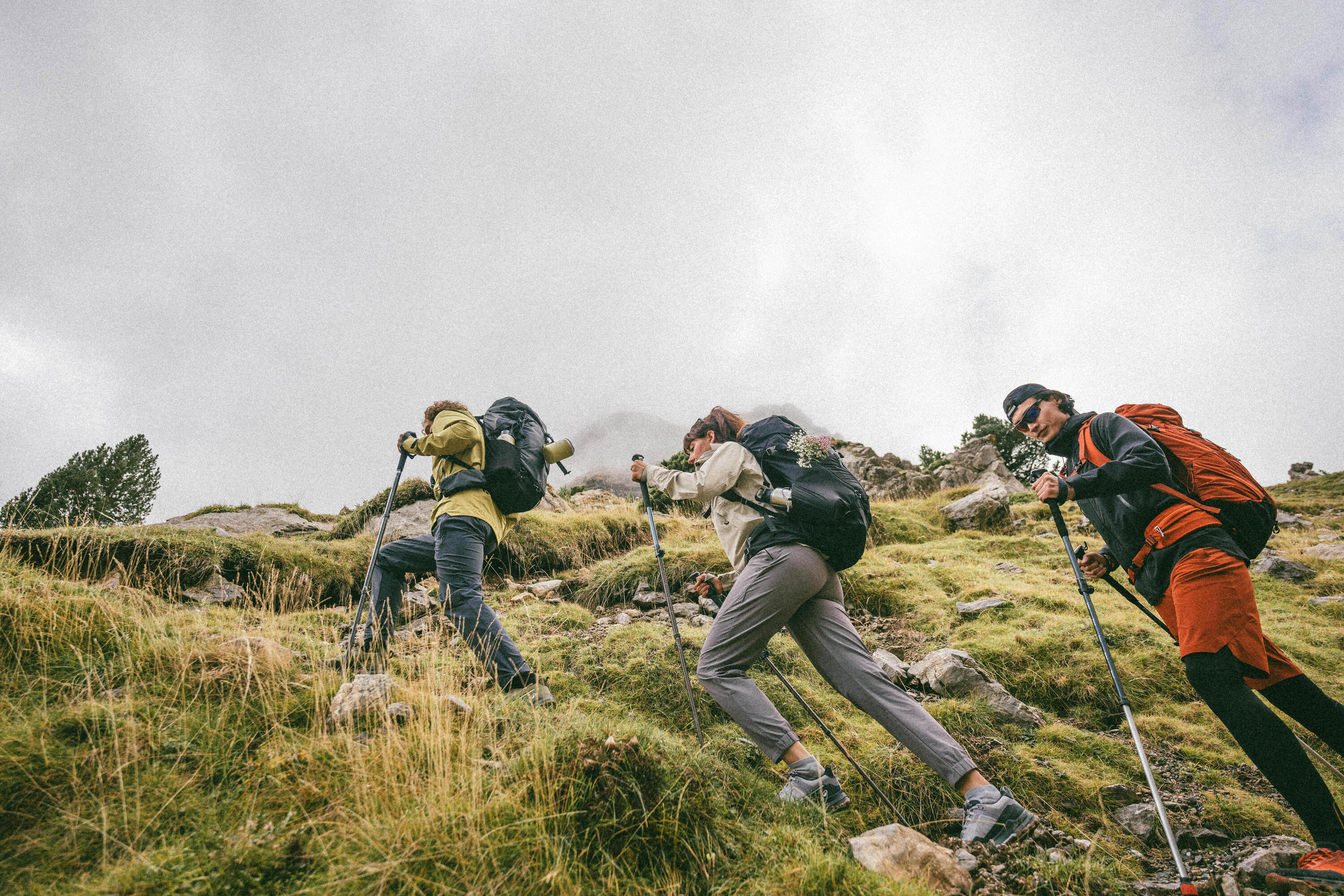 Quechua MH500 38 L Hiking Backpack、mySite、shQuechua MH500 38 L Hiking Backpack、mySite、glenpowelloop_name