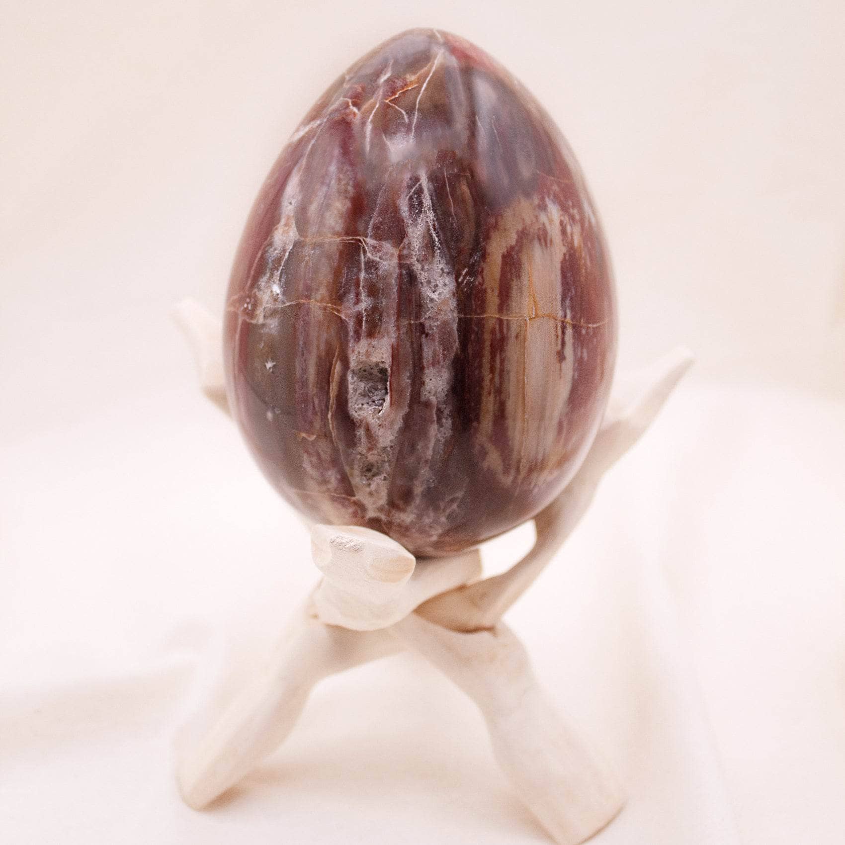 Petrified Wood Egg - AAA Premium Quality、mySite、hinf8tx79