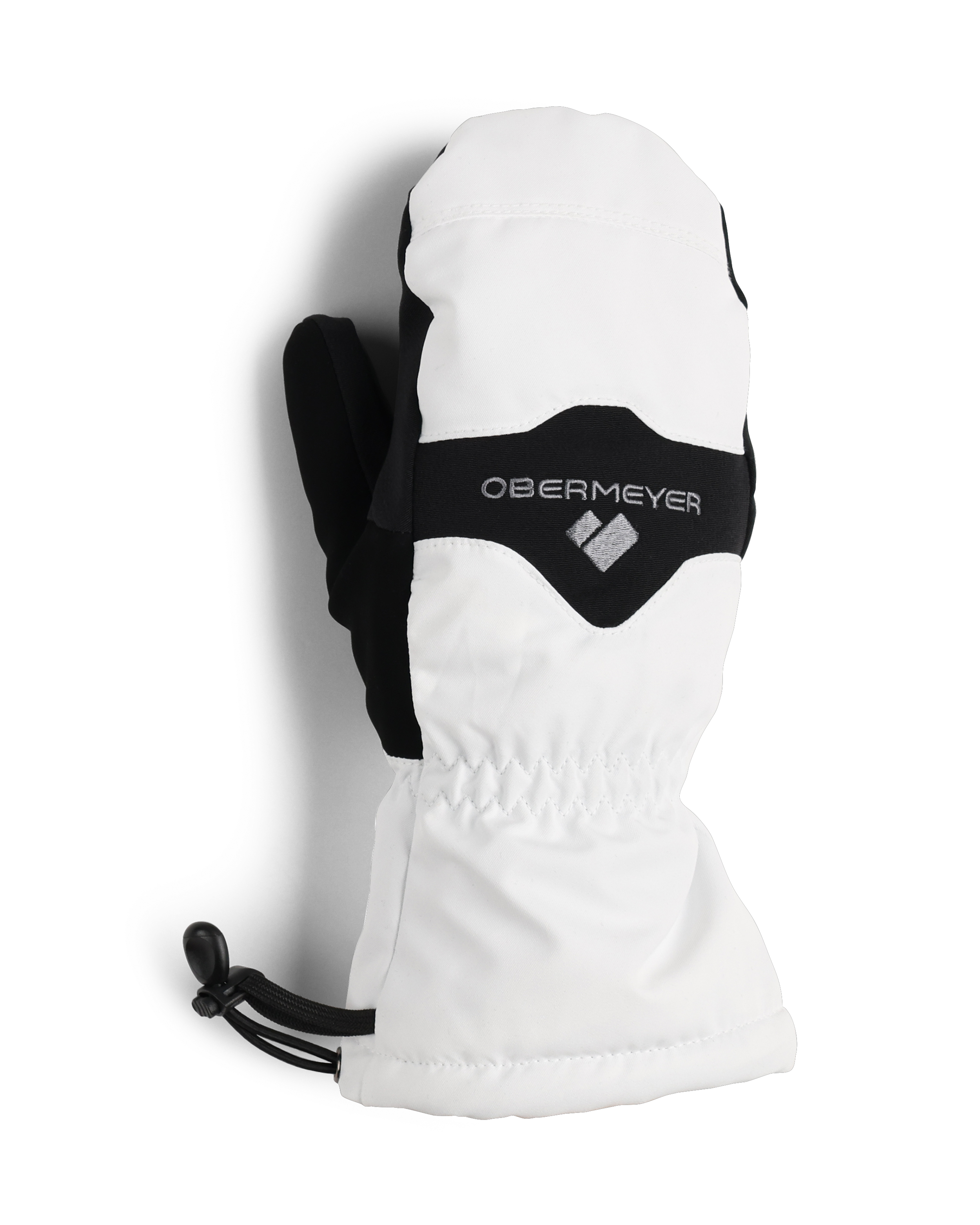 Regulator Mitten、mySite、i-lightchina