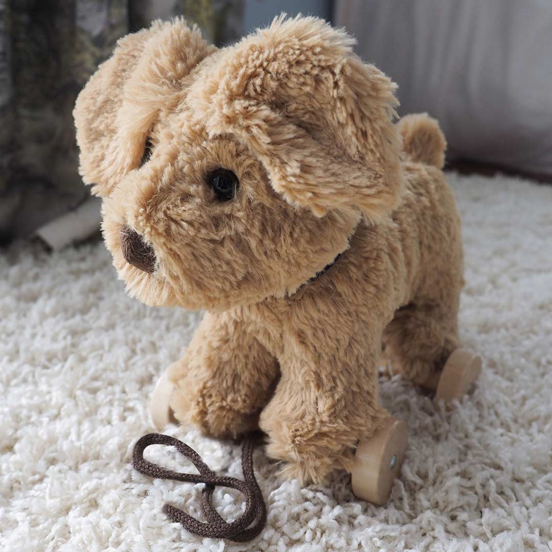  Little Bird Told Me - Pull-Along Dog - Dexter (6m+)、mySite、merchandisen