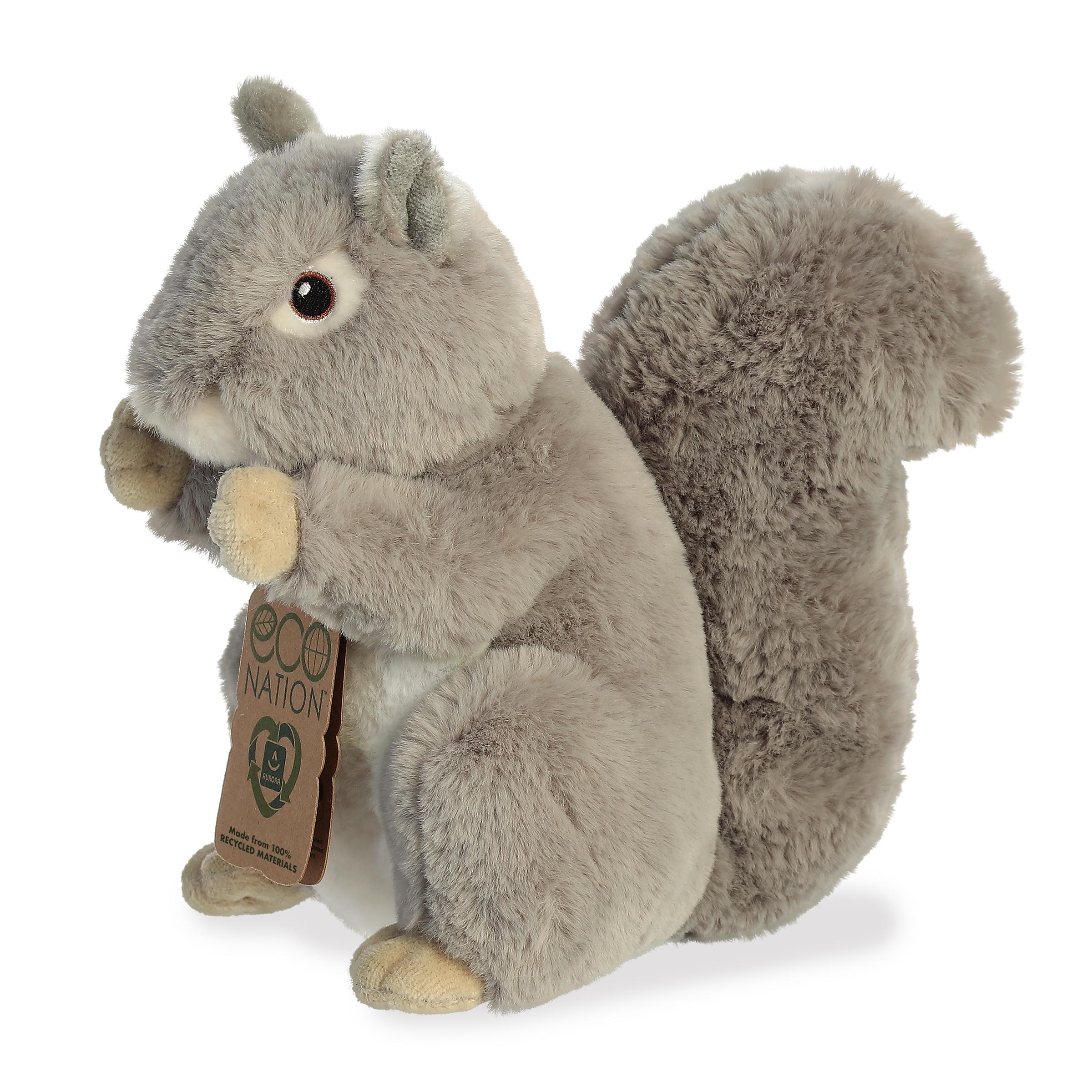Aurora® - Eco Nation™ - 8 Squirrel、mySite、g9winljtr