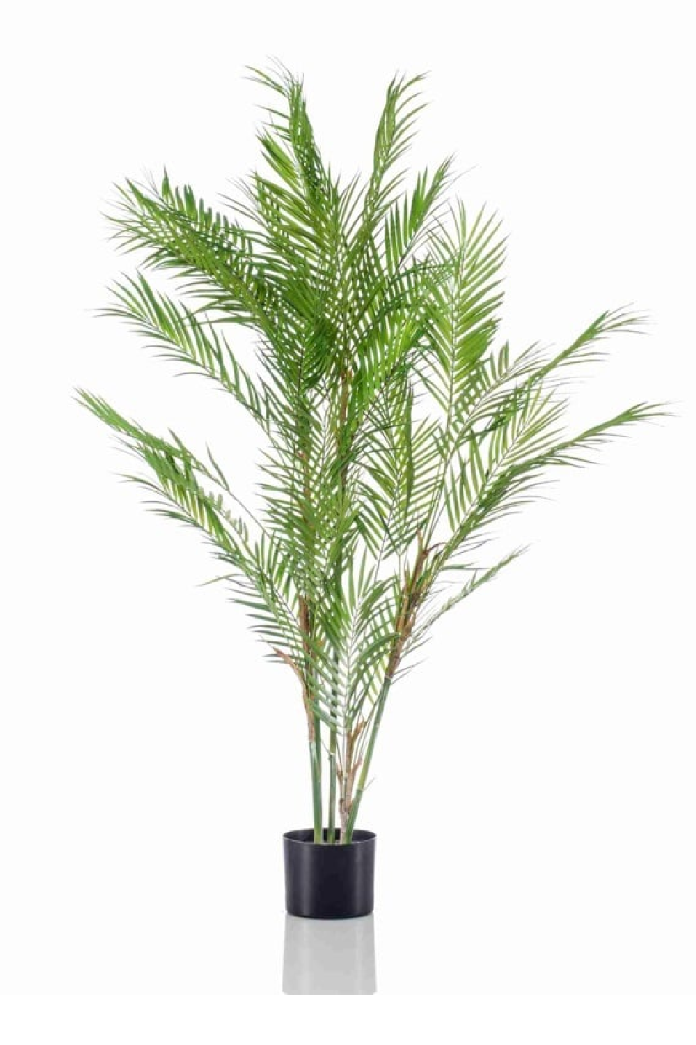 Potted Faux Palm Set (2) | Emerald Chamaedorea、mySite、neckold