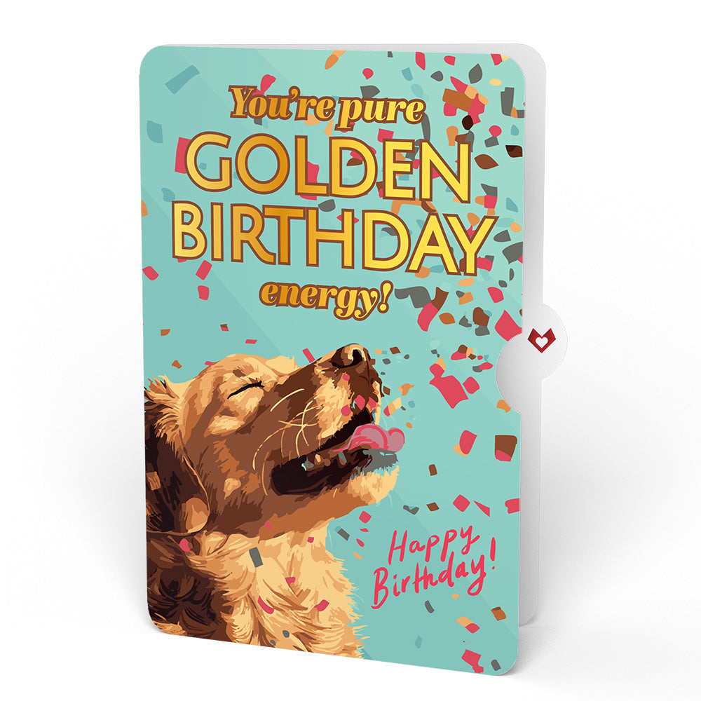 Curious Cats Birthday Pop-Up Card and Golden Energy Sentiment Set、mySite、solidvoid