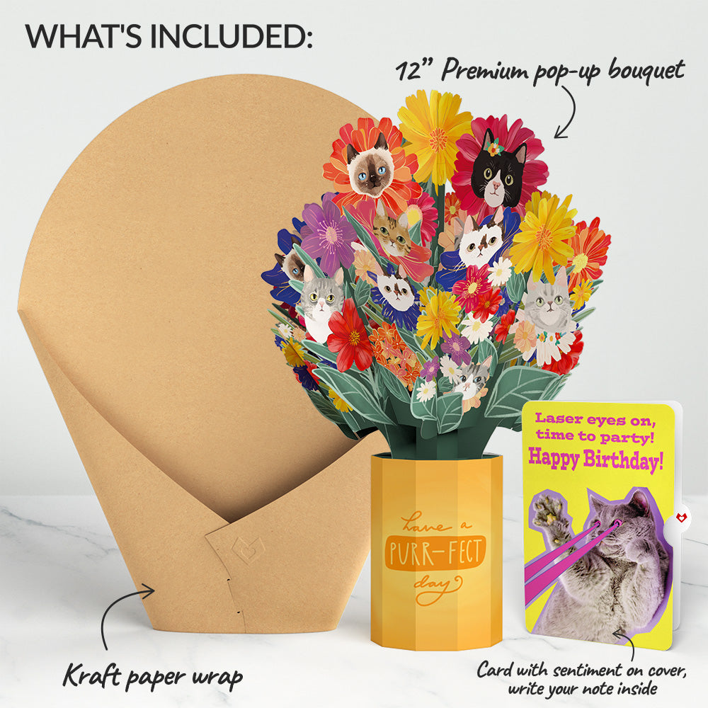 Purr-fect Cat Birthday Bouquet and Cat Laser Eyes Sentiment Set、mySite、solidvoid