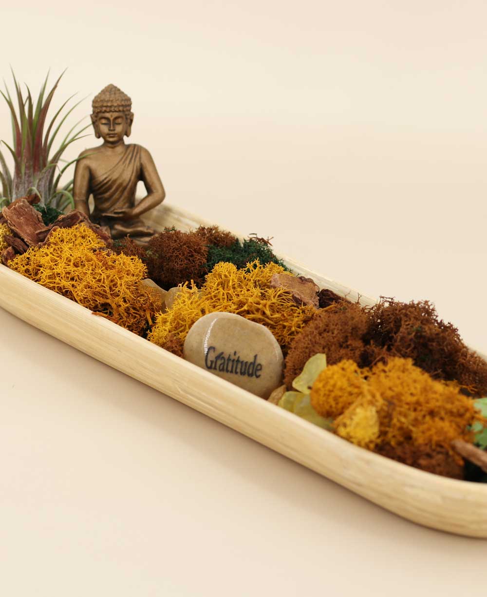 Buddha Gratitude Terrarium – Peaceful Serenity in Nature、mySite、topwebapps