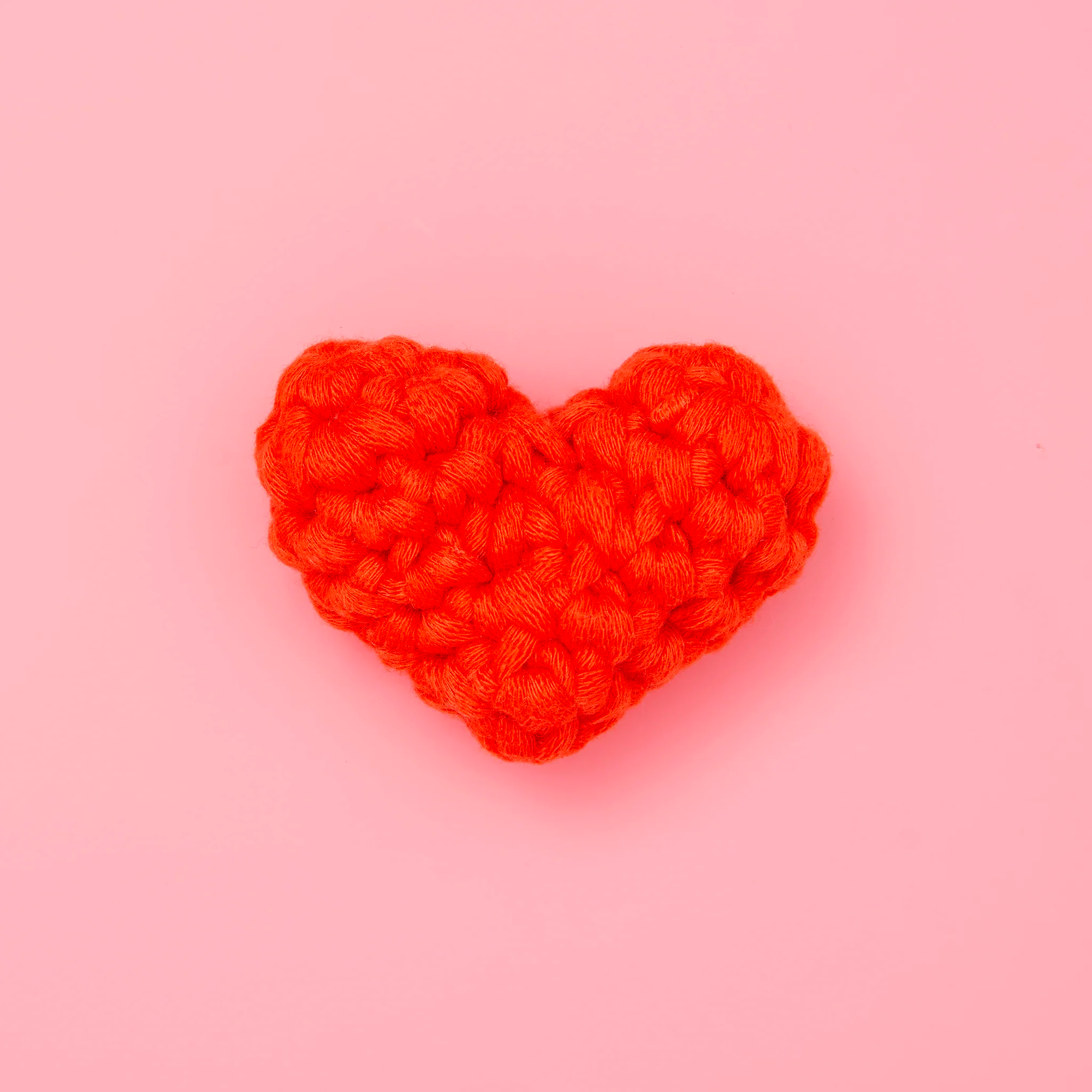  Eat, Paw, Love Bundle、mySite、ghnorth