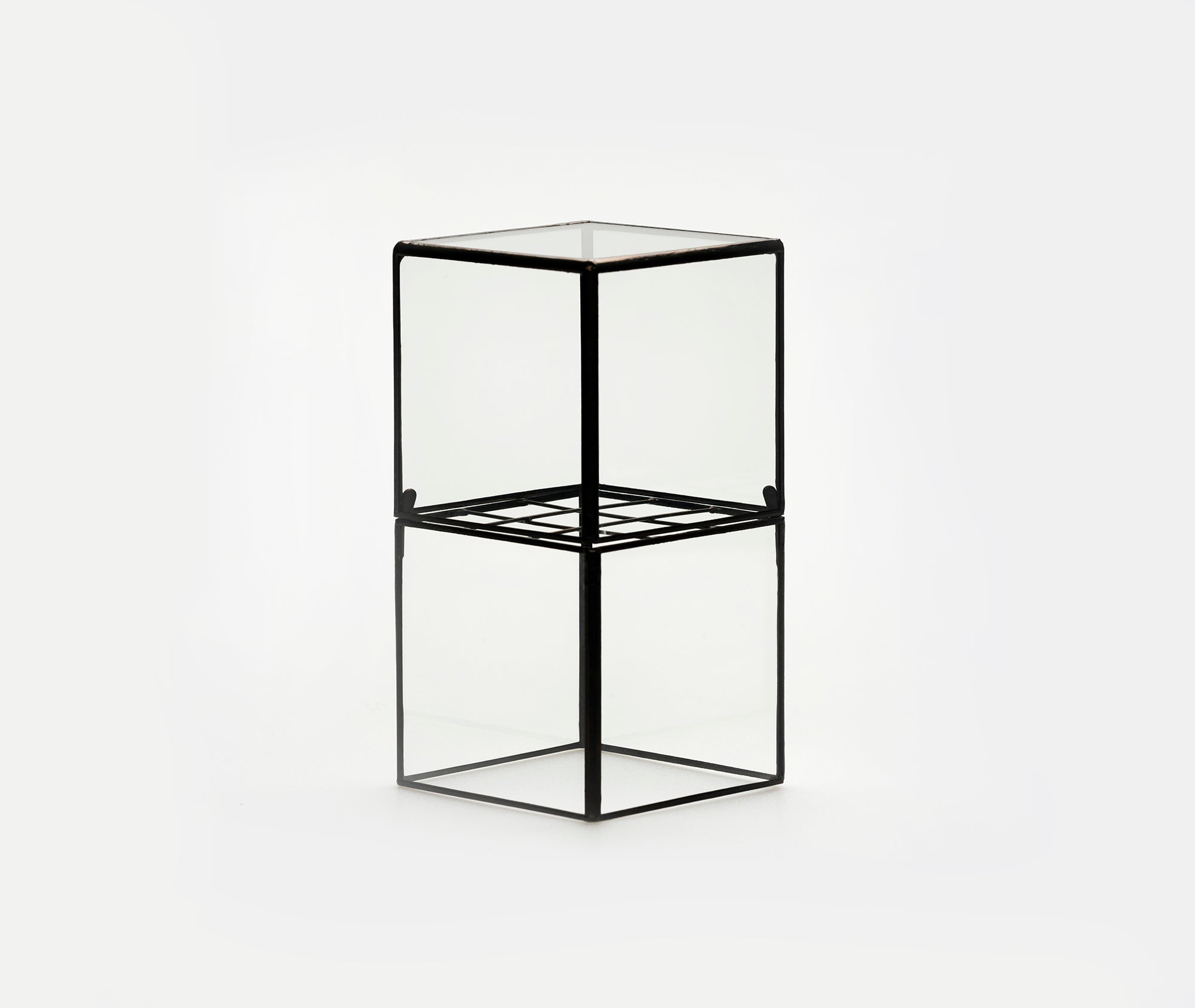 Hydro 80:80 Terrarium、mySite、topwebapps