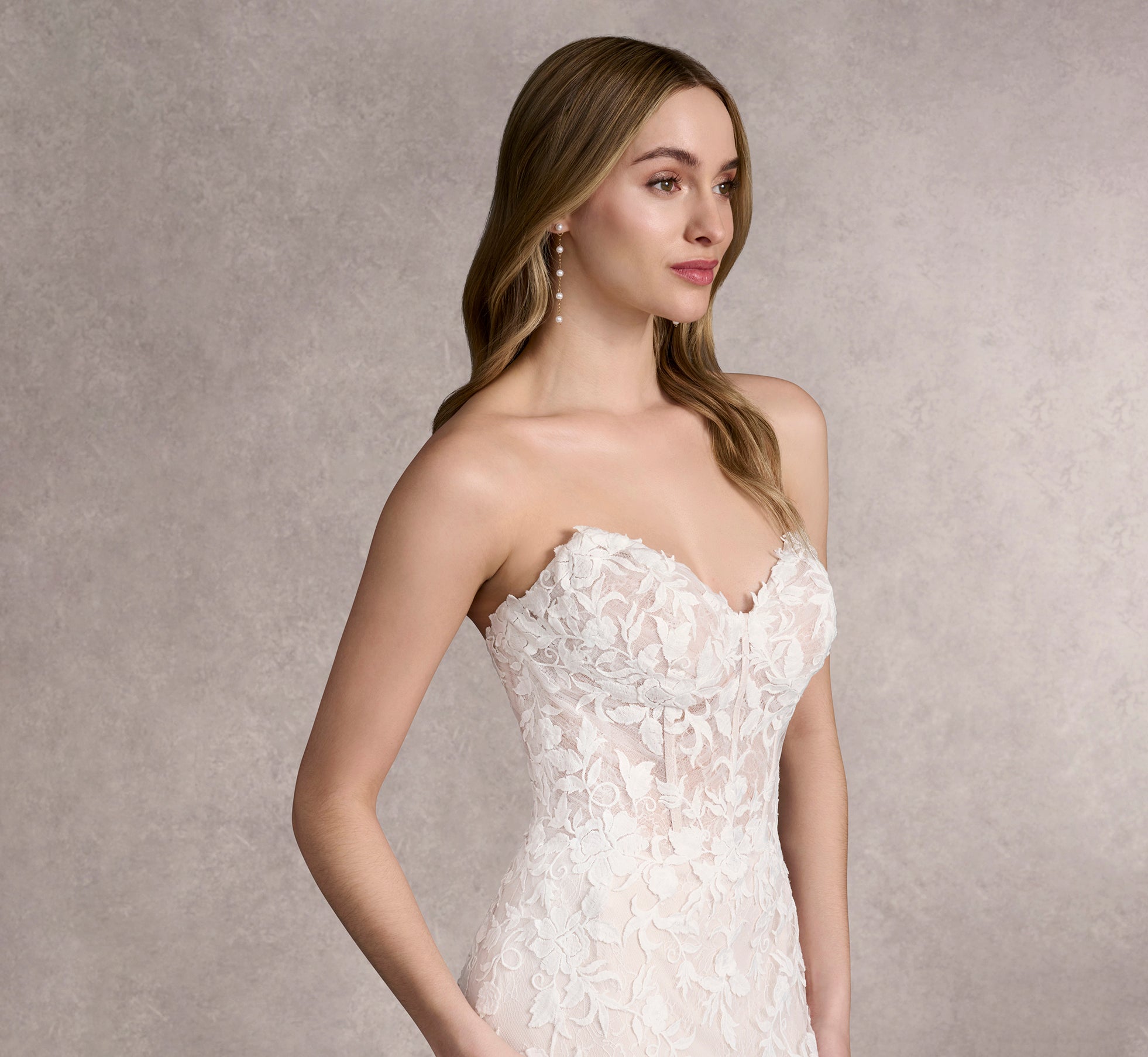 Allover Lace And Tulle Gown With Detachable Sleeves In Ivory/Almond/Nude In Ivory Almond Nude、mySite、solidvoid