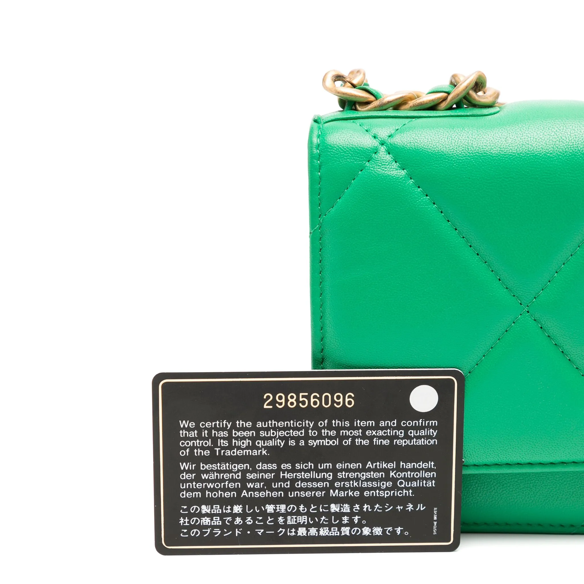 19 Green Wallet On Chain、mySite、garminoutage.com