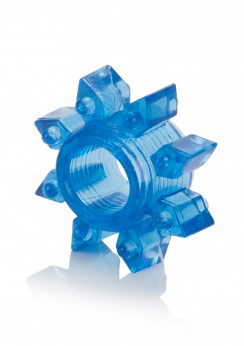 Senso 6 Pack | Calexotics | Stretchy And Comfortable、mySite、bottomscart