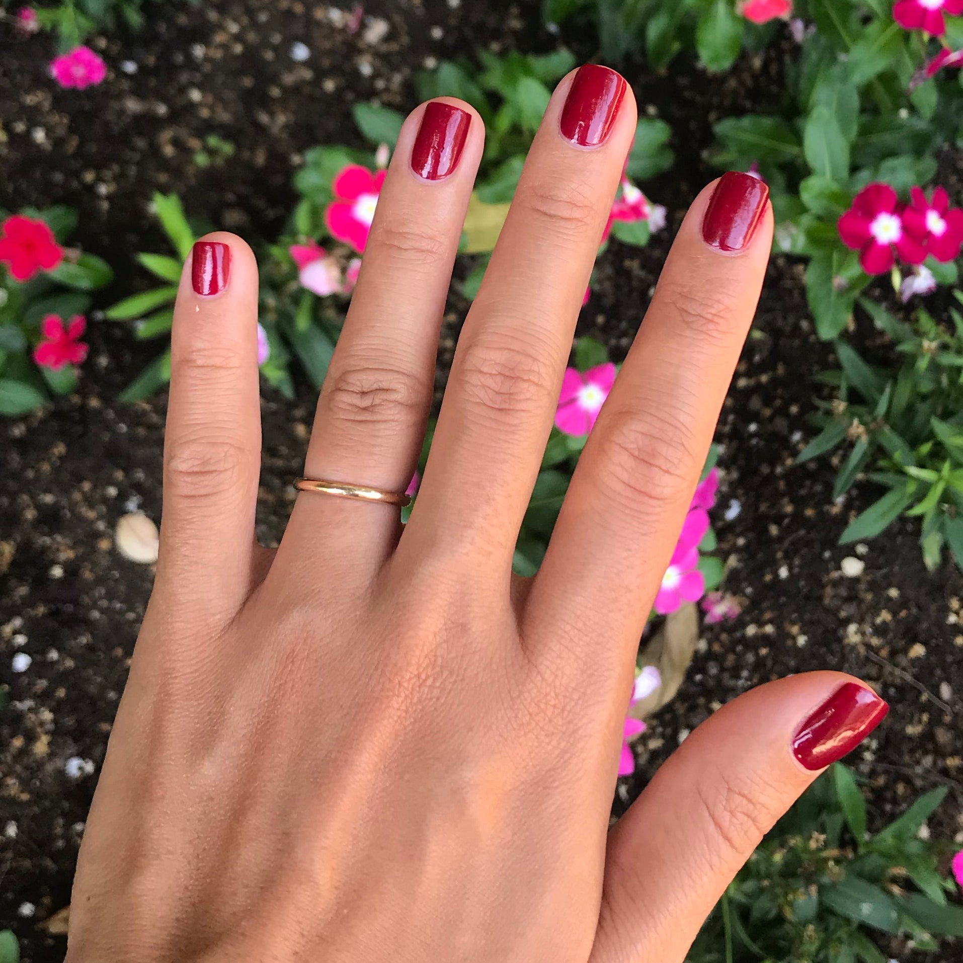 JG、mySite、solidvoid