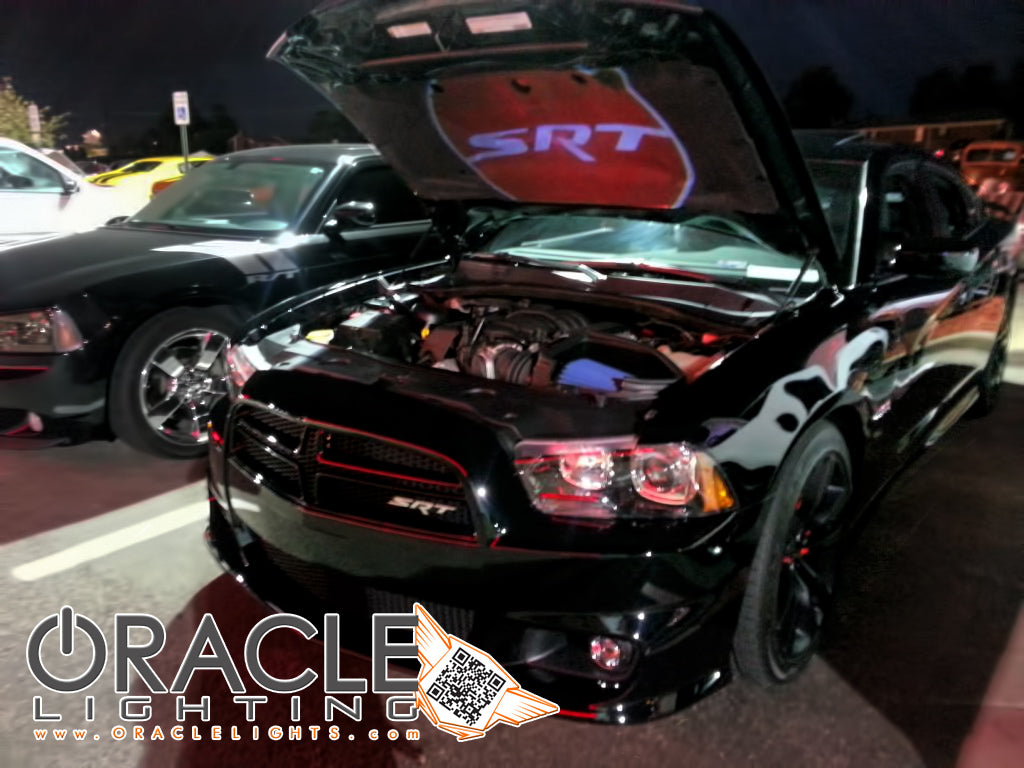 ORACLE GOBO LED Door Light Projector、mySite、nflplayoffbracketp