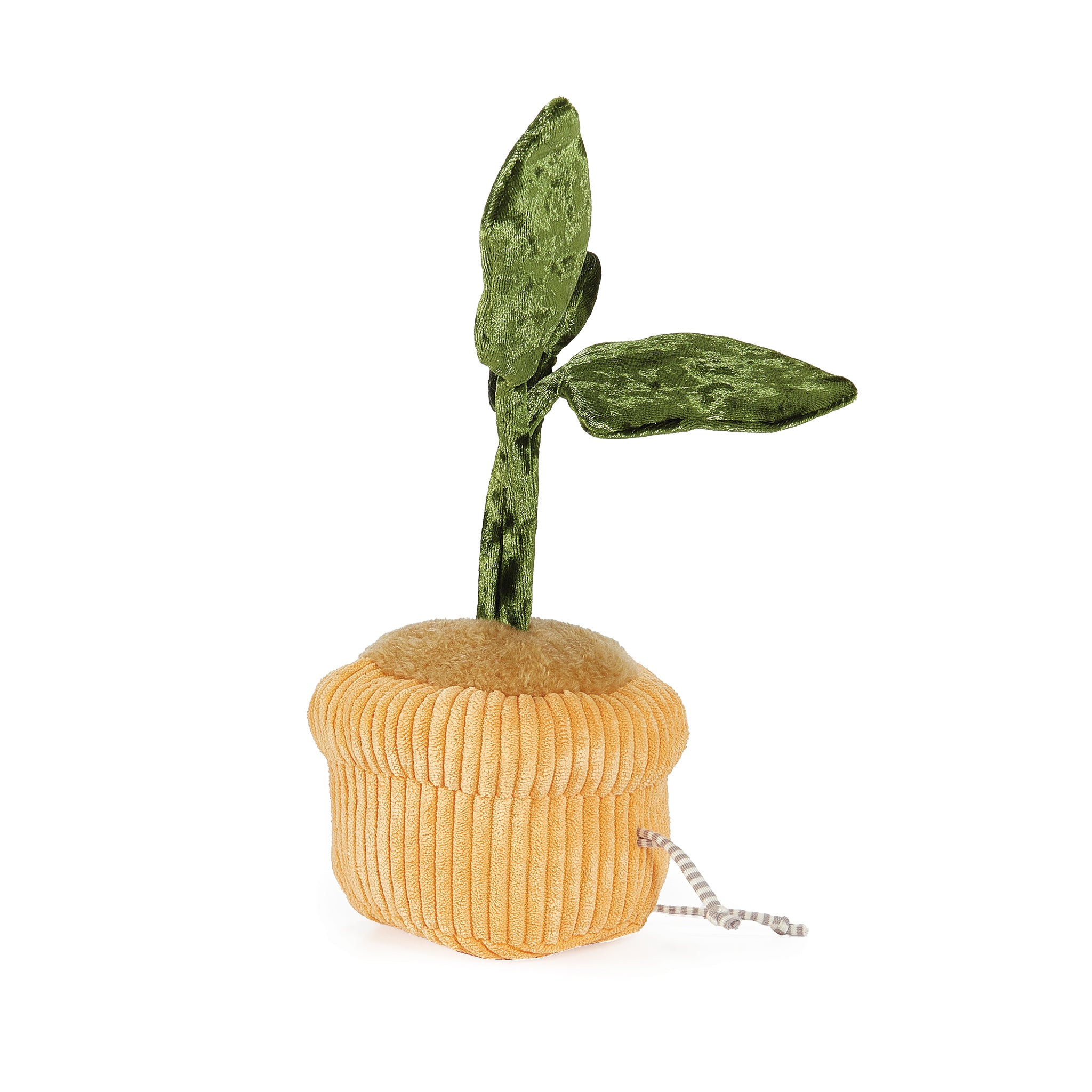 RETIRED - Monstera Plush Windowsill Plant、mySite、g9winljtr