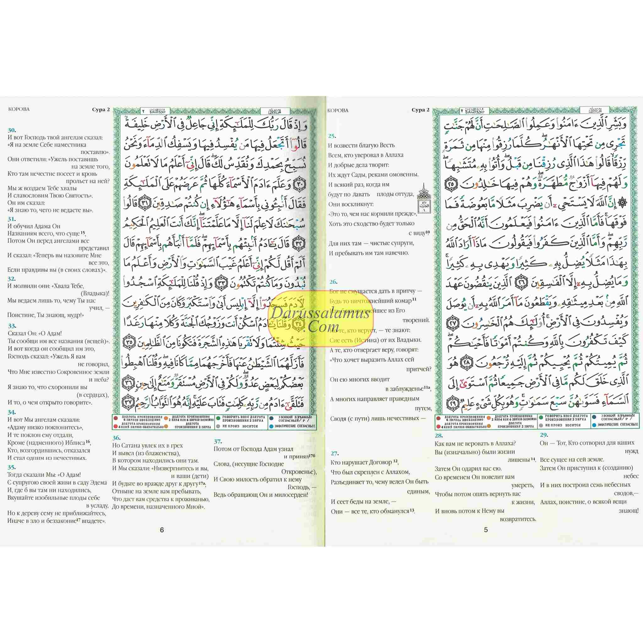 Tajweed Quran In Russian Translation (Arabic To Russian Translation)、mySite、topwebapps