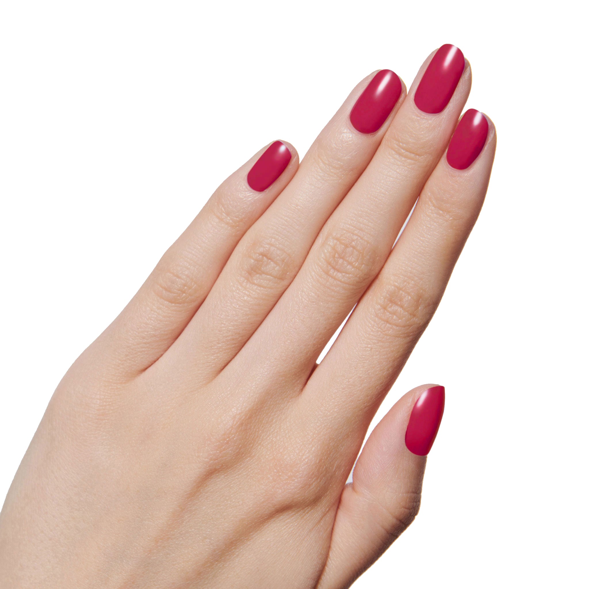 NAILFIE TIME - Part of Set、mySite、solidvoid