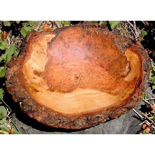 Spencer Peterman Cherry Burl Bowl、mySite、topwebapps