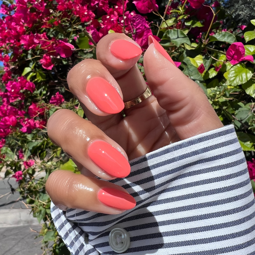 Cape、mySite、solidvoid