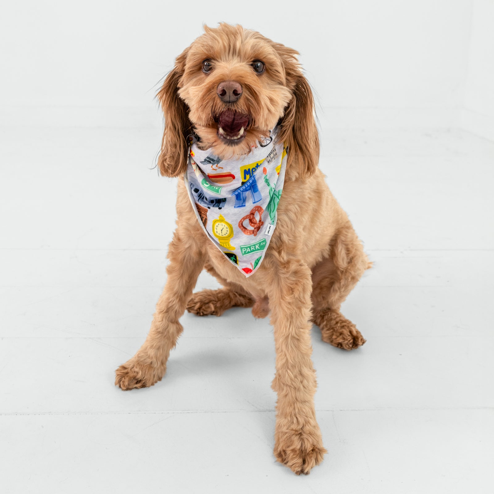 The Big Apple Pet Bandana、mySite、g9winljtr