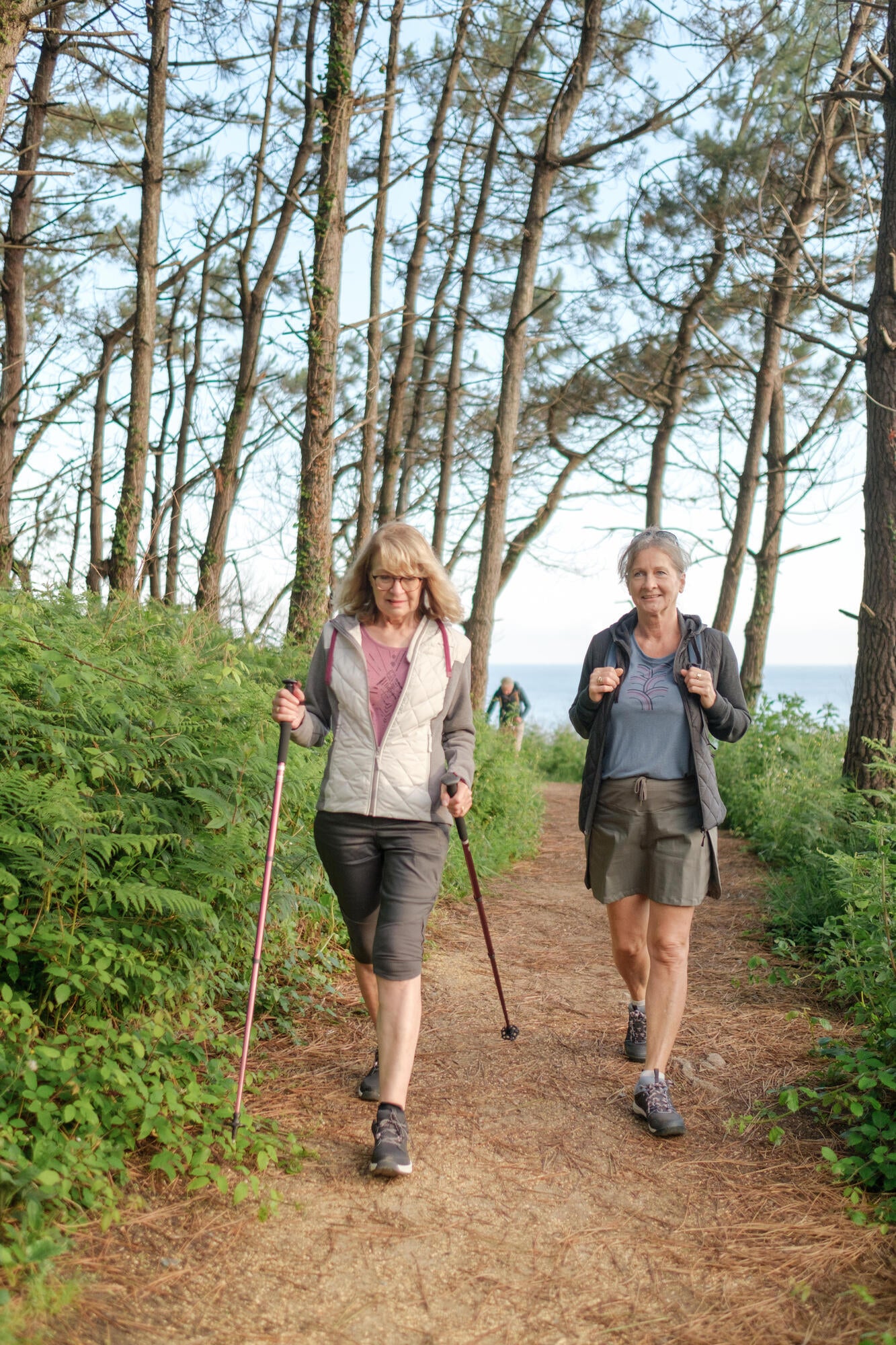 Quechua Women's Waterproof Hiking Boots NH100 Low WP、mySite、neckold