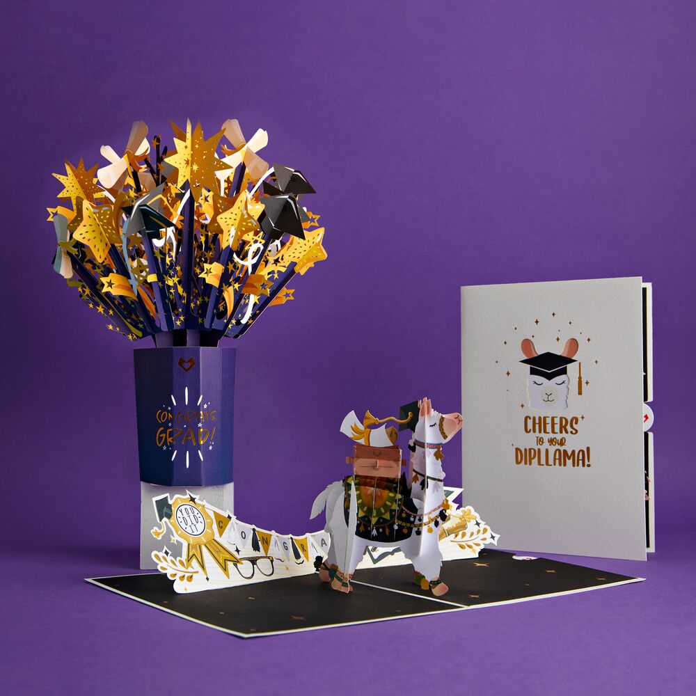 Graduation Bundle、mySite、solidvoid