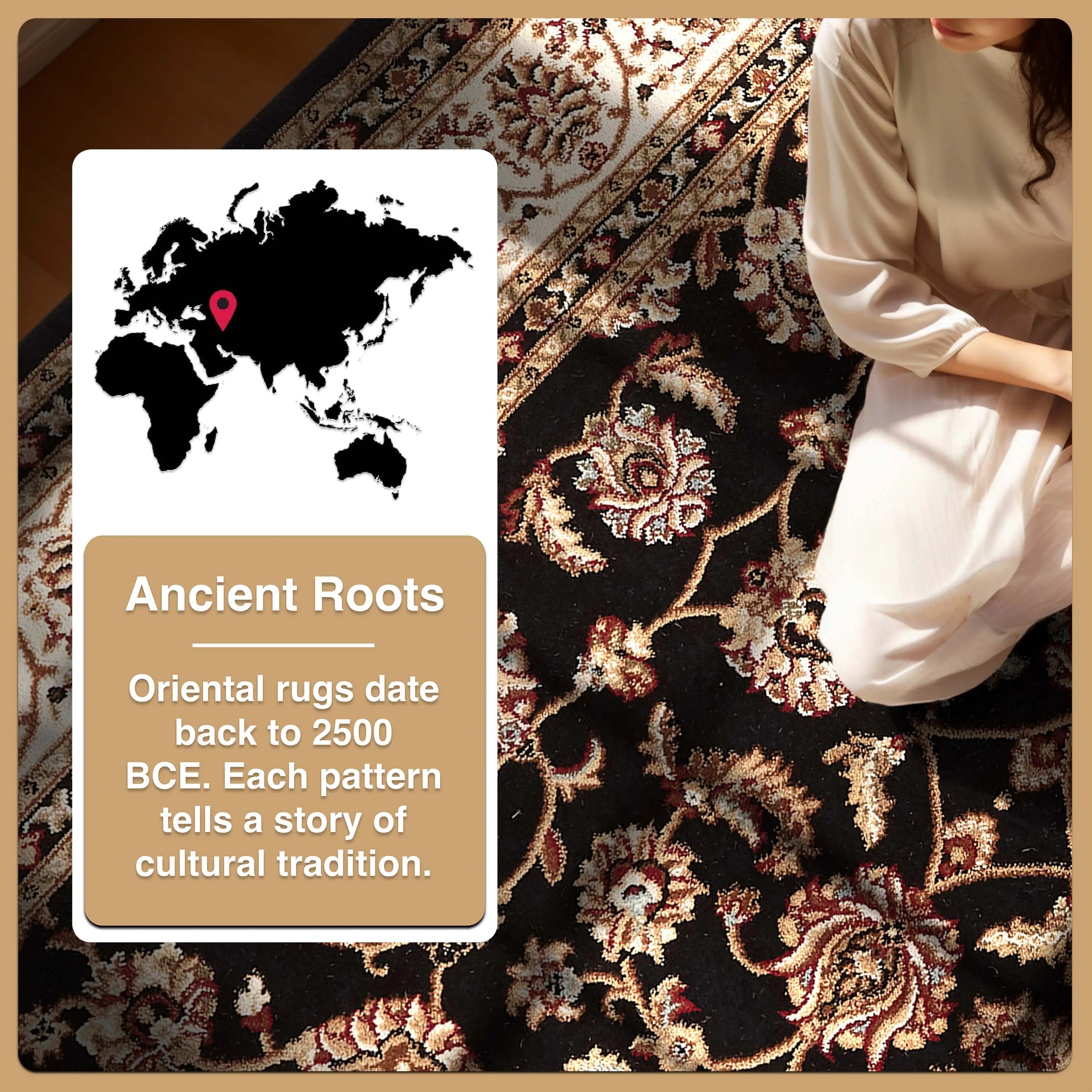 Sarouk Black Traditional Rug、mySite、gigharbornorthrealestate