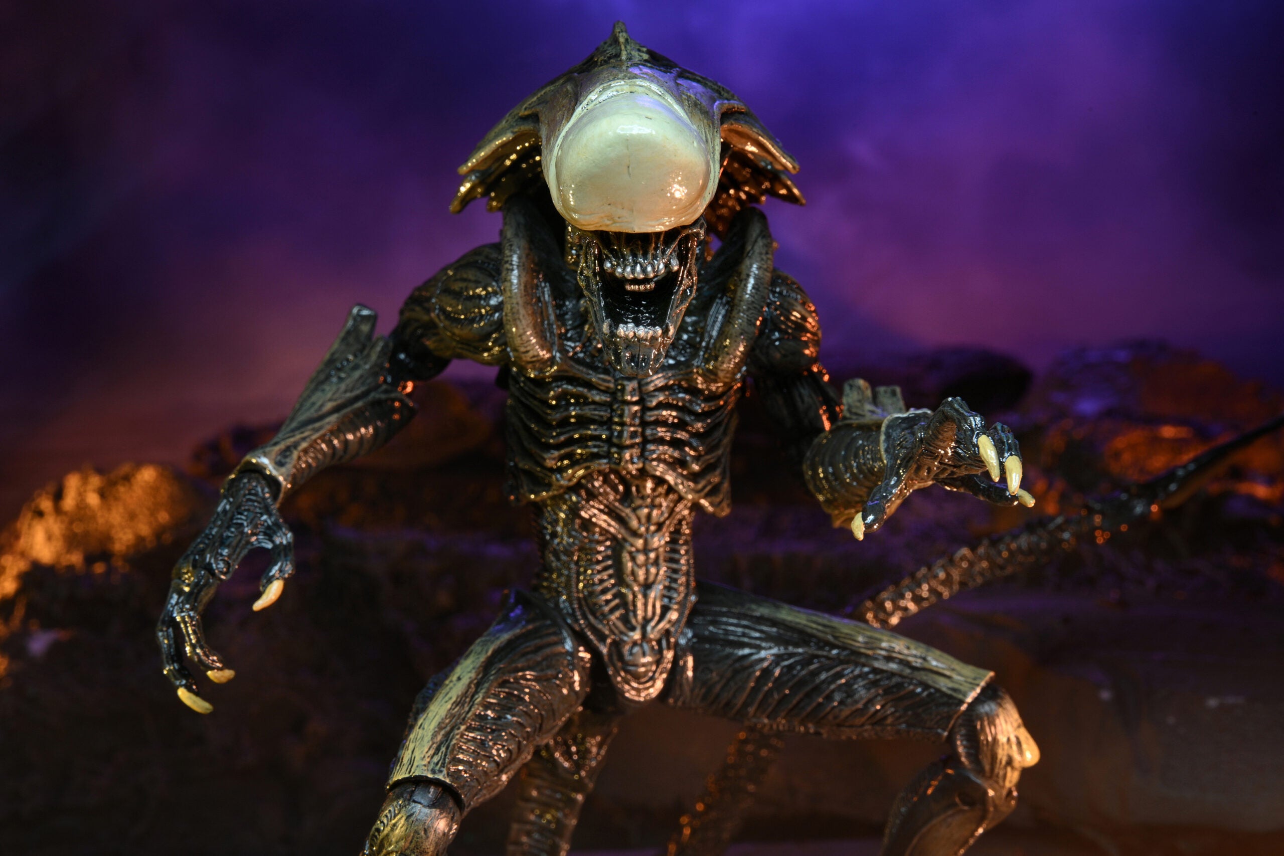NECA Alien vs. Predator Chrysalis (Movie Deco)、mySite、hgirdovlk