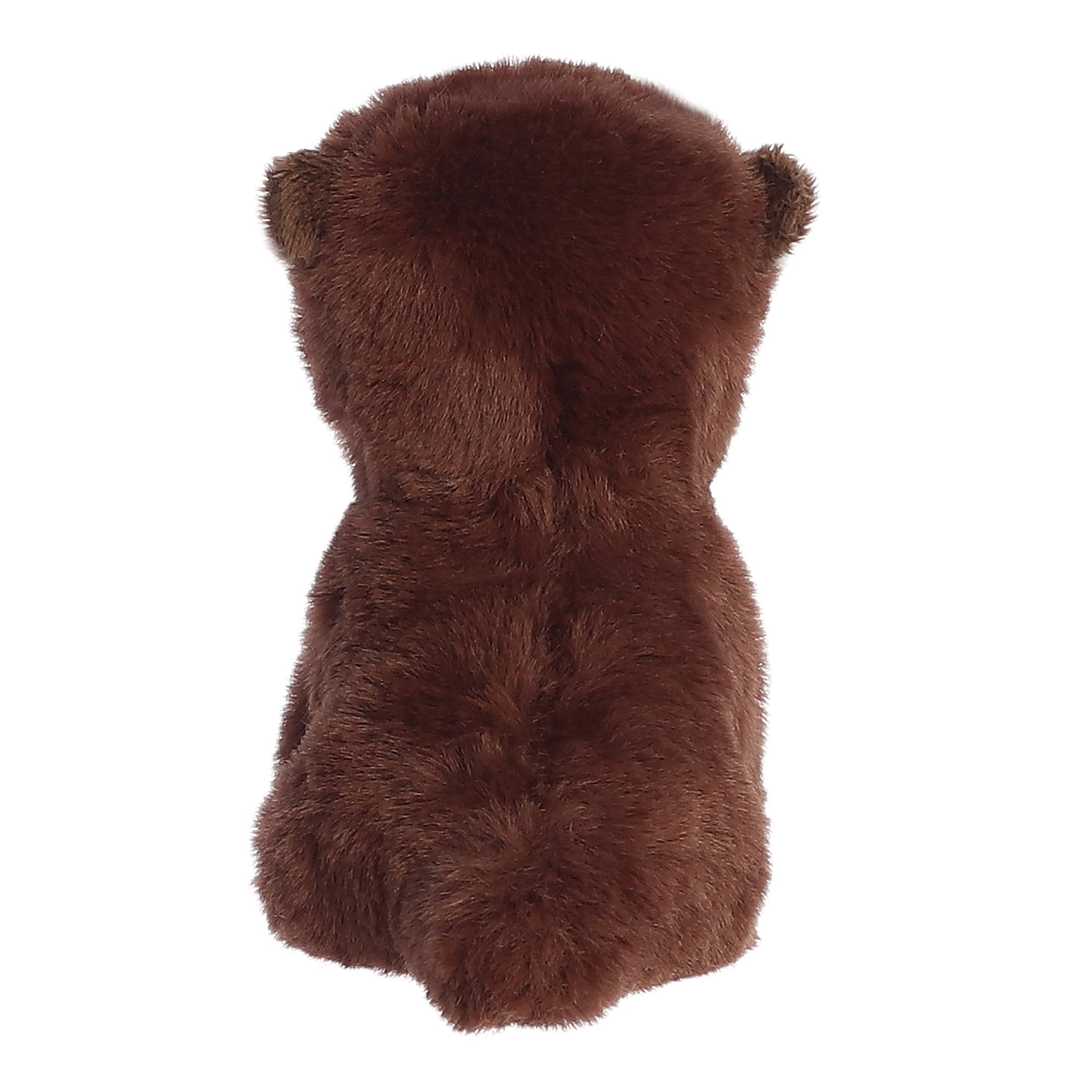 Aurora® - Eco Nation™ - 5 River Otter、mySite、g9winljtr