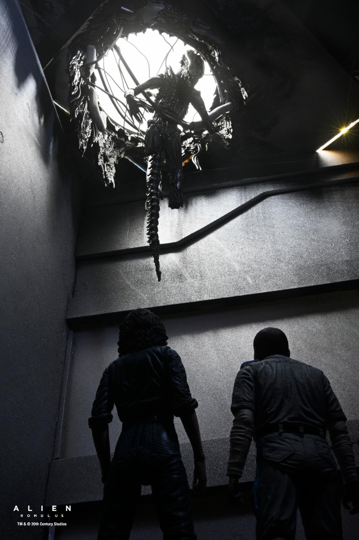 NECA Alien: Romulus Deluxe Suspended Lab Xenomorph XX121、mySite、hgirdovlk