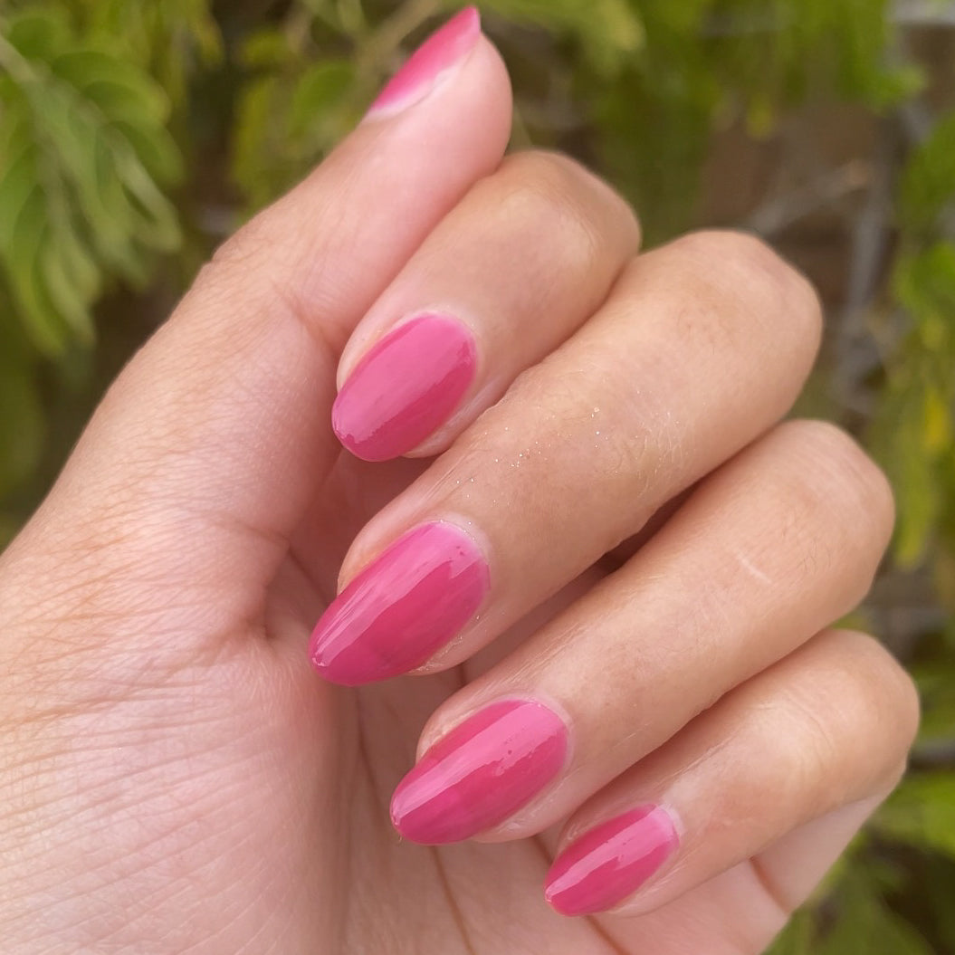 This Lettuce is Radicchio、mySite、solidvoid