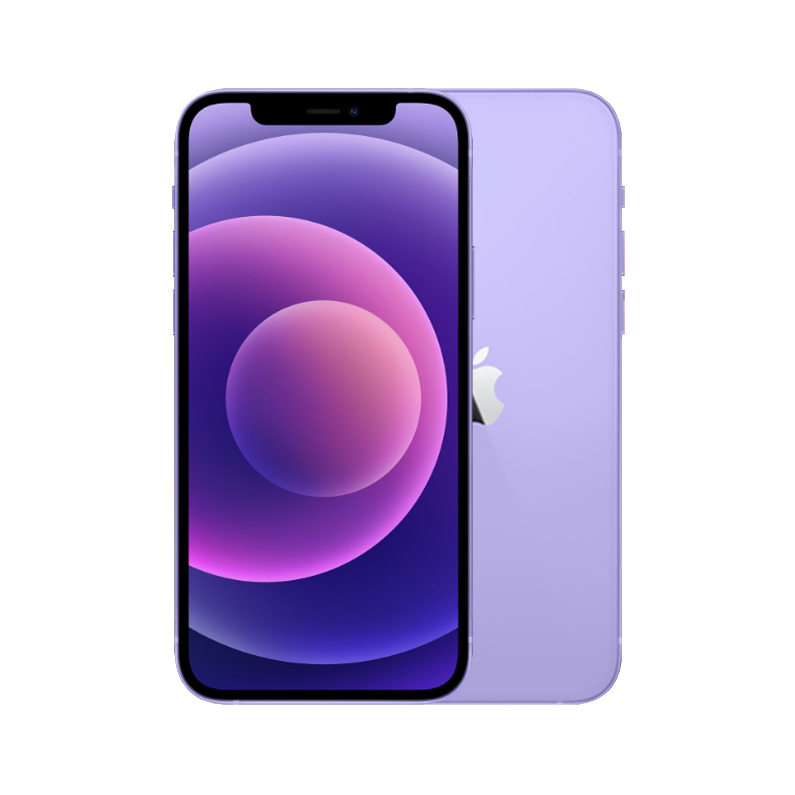 Apple iPhone 12 64GB (Purple) ~Renewed: Excellent、mySite、camillekostekn