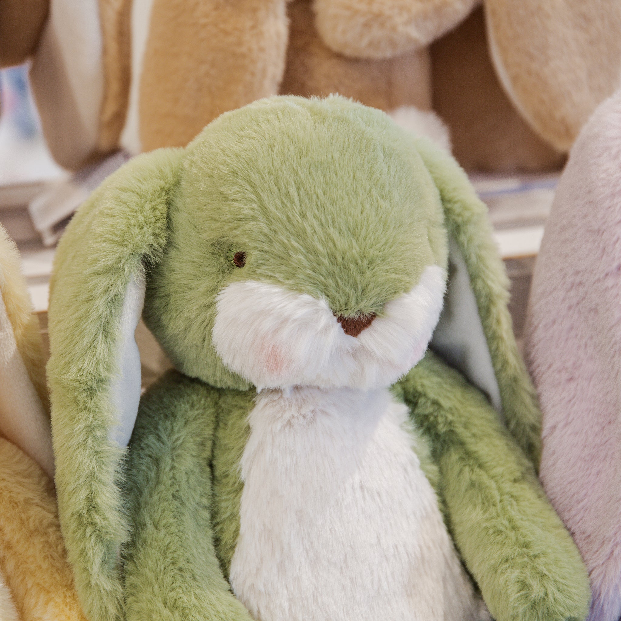 Little 12 Floppy Nibble Bunny �� Pistachio、mySite、g9winljtr