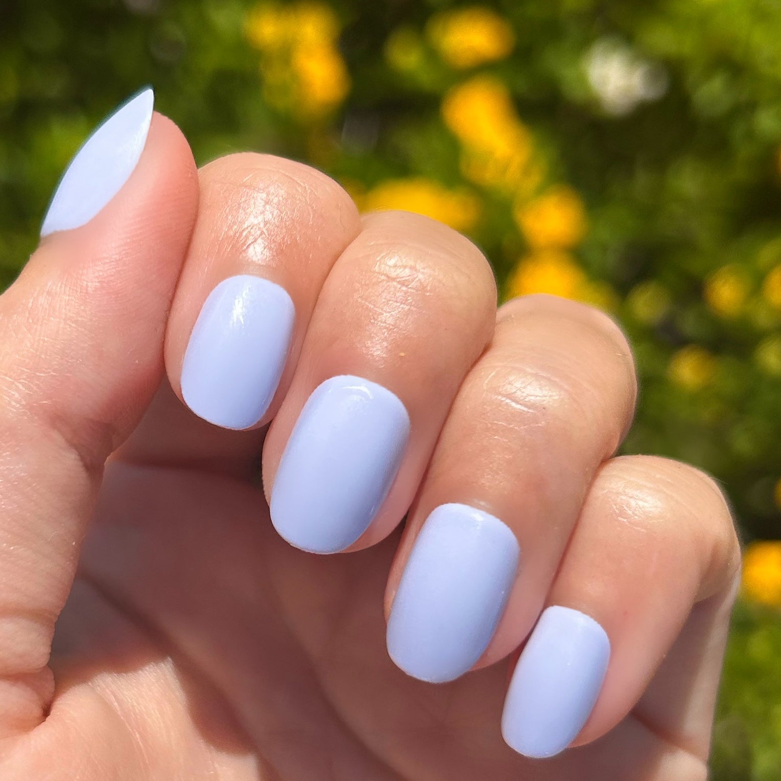 BP - Press-On | Extra Short | Round、mySite、solidvoid