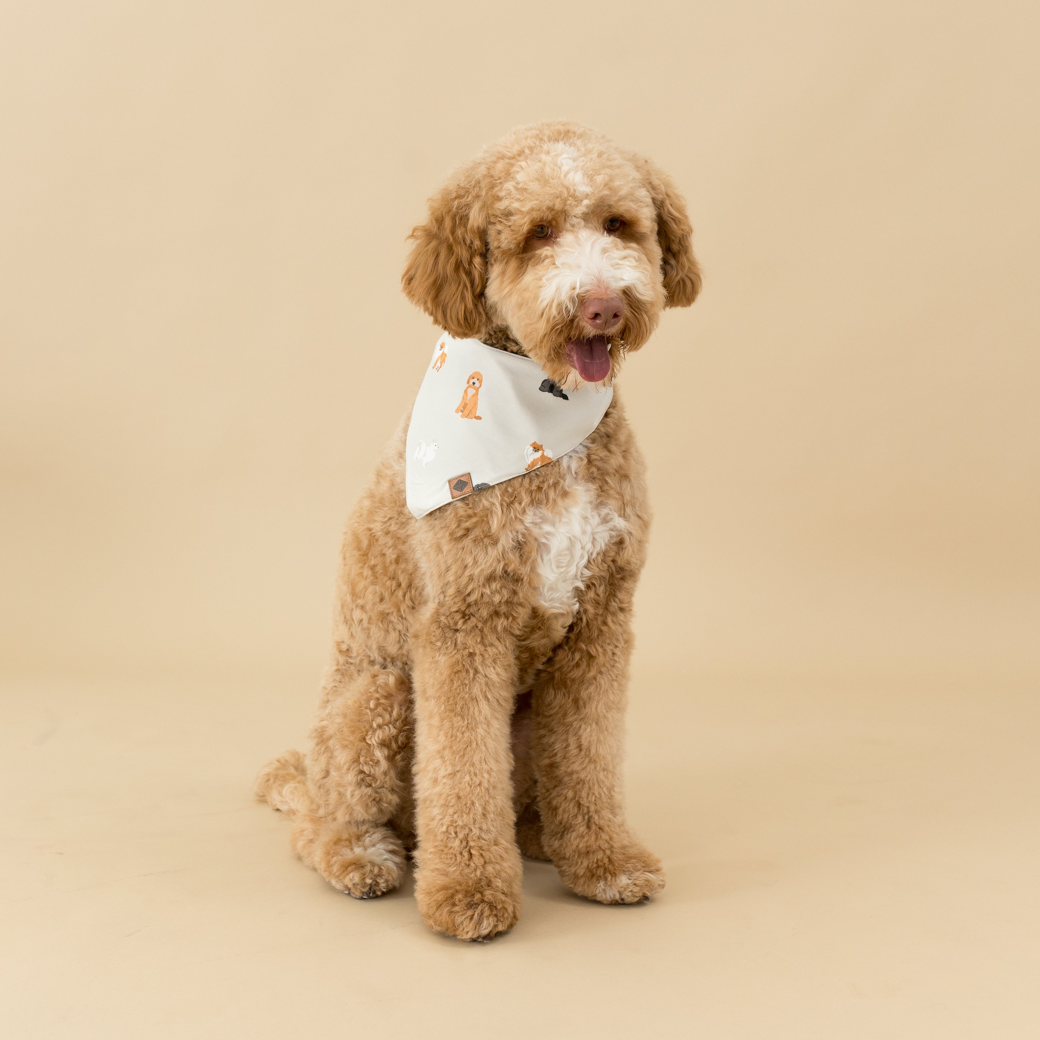  Dog Bandana in Fluffy Dog、mySite、layawaytickets