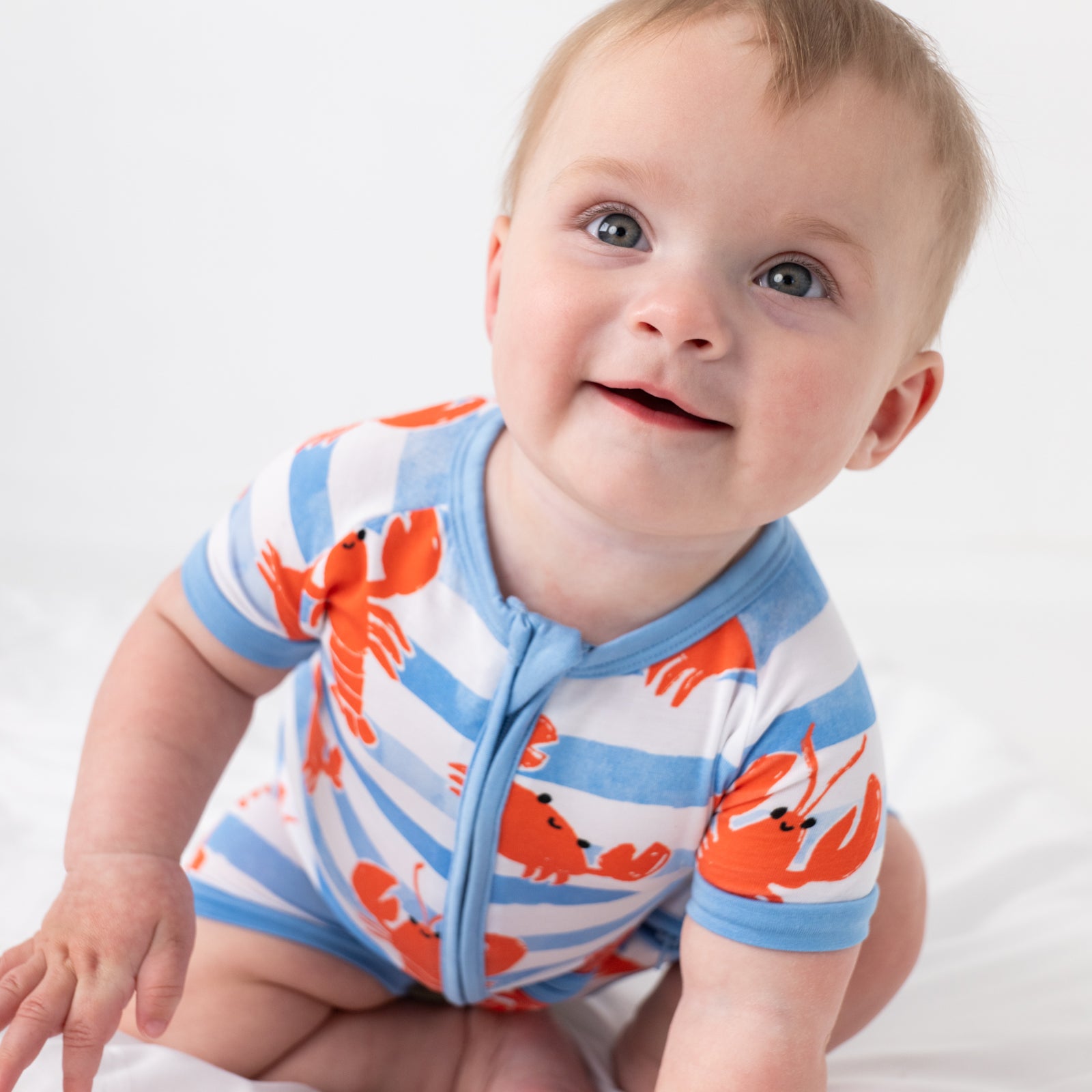 Crustacean Crew Shorty Zippy、mySite、g9winljtr