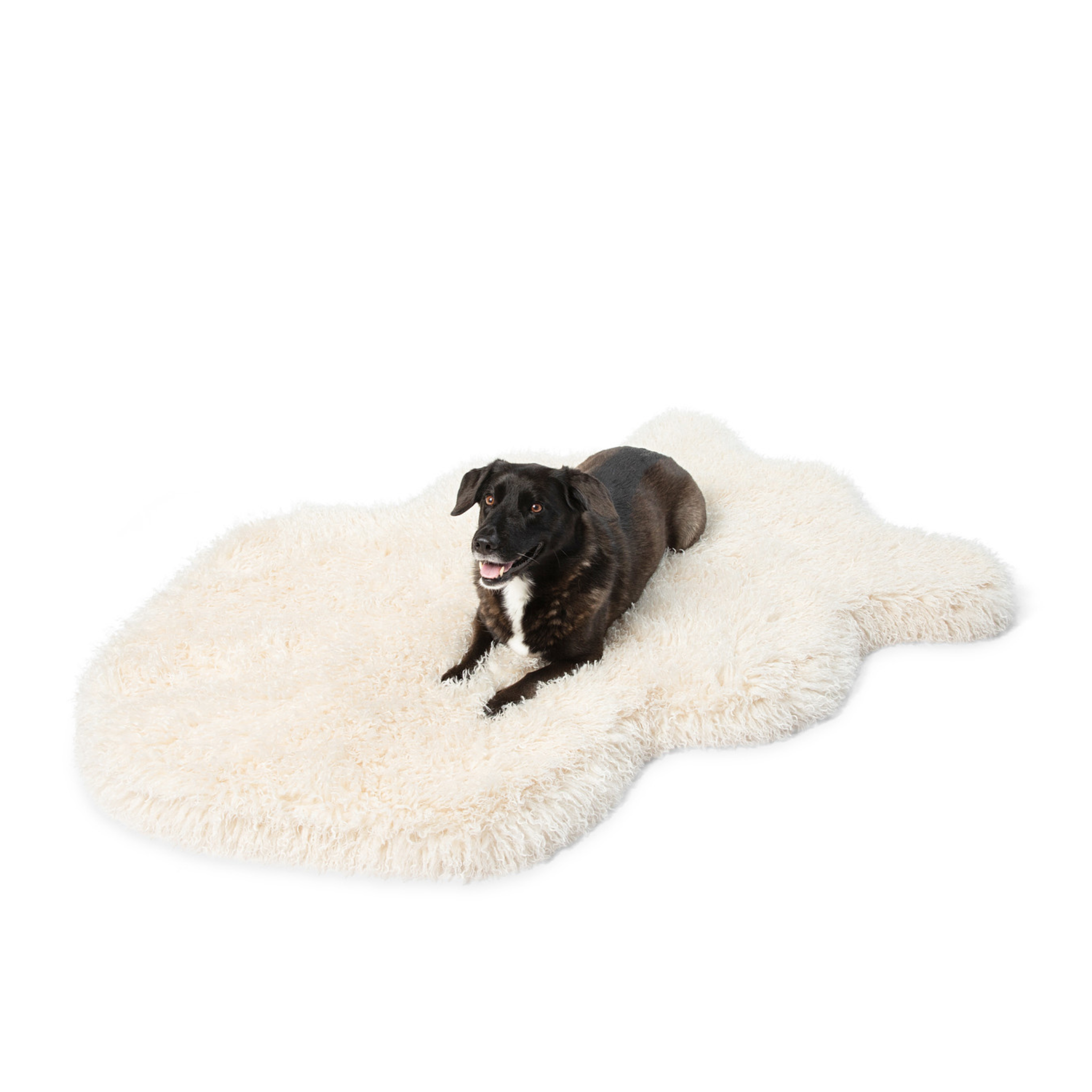 PupRug™ Luxe Faux Fur Orthopedic Dog Bed - Plush Sheep Ivory、mySite、solidvoid