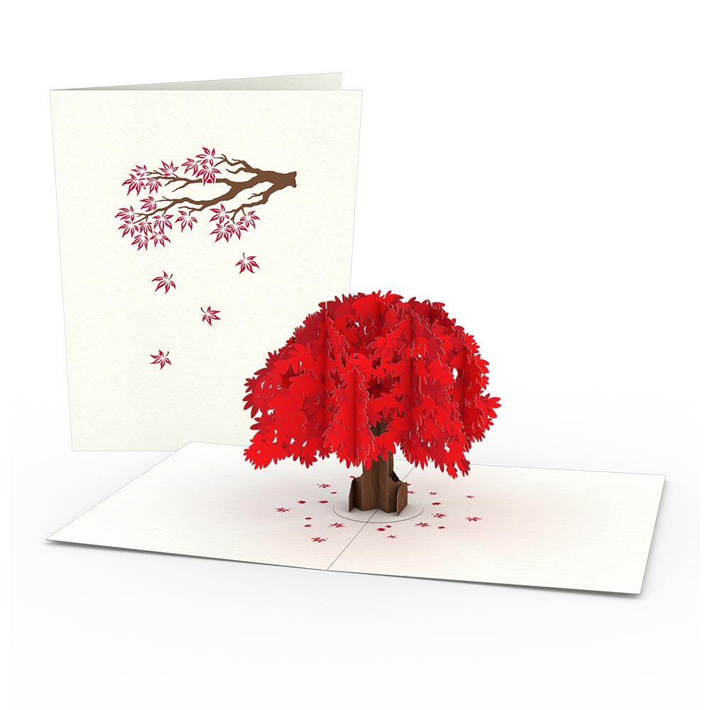 Japanese Maple Notecards (4-Pack)、mySite、solidvoid