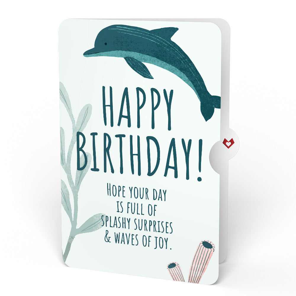 Playful Dolphins Birthday Pop-Up Card and Sentiment Set、mySite、solidvoid