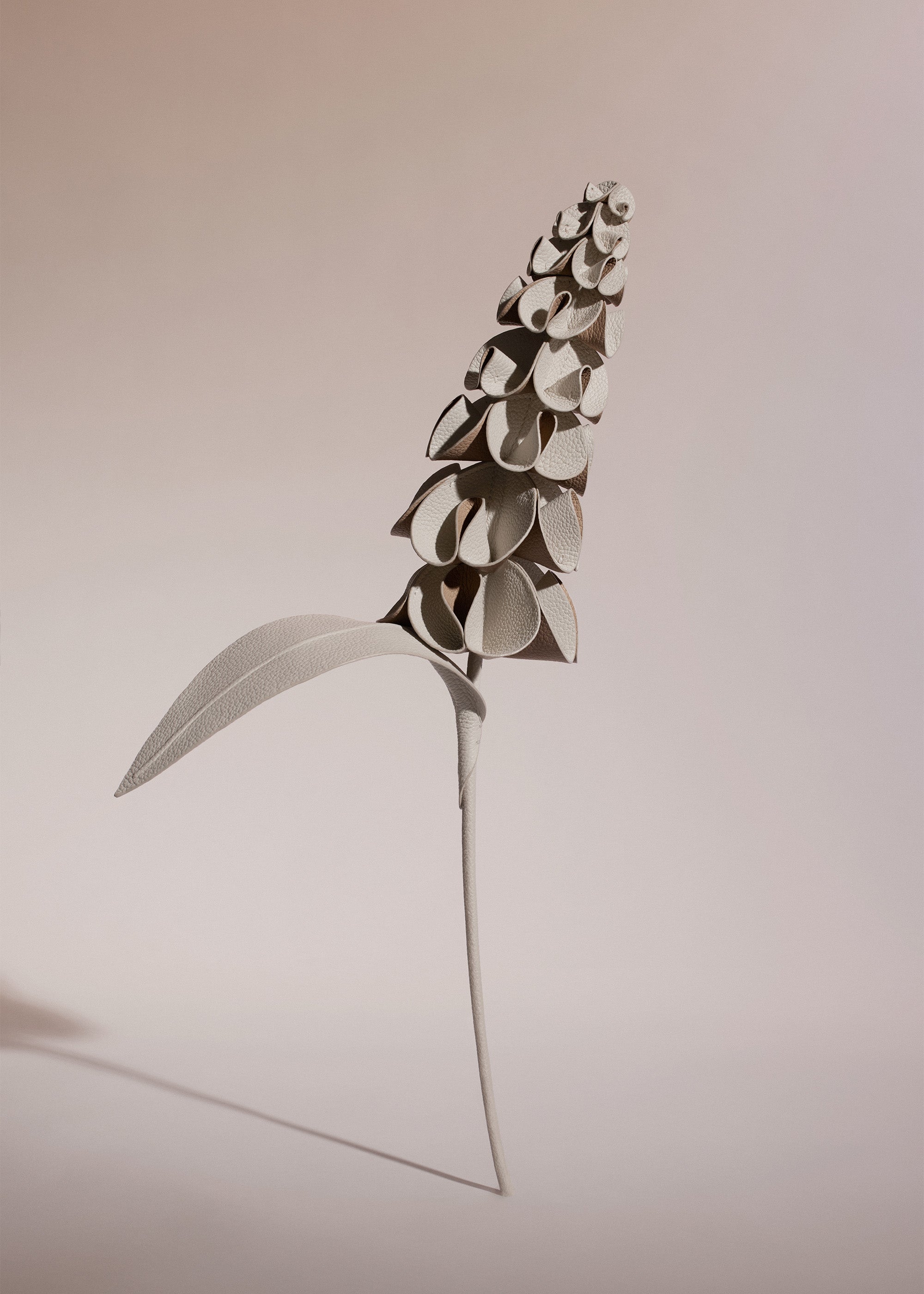 Fleur Orki - Duo Craie Grain茅、mySite、camillekostekn