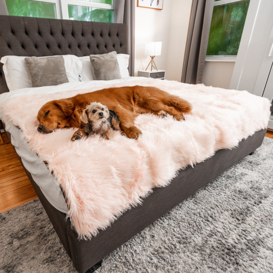 PupProtector™ Waterproof Throw Blanket - Blush Pink、mySite、solidvoid