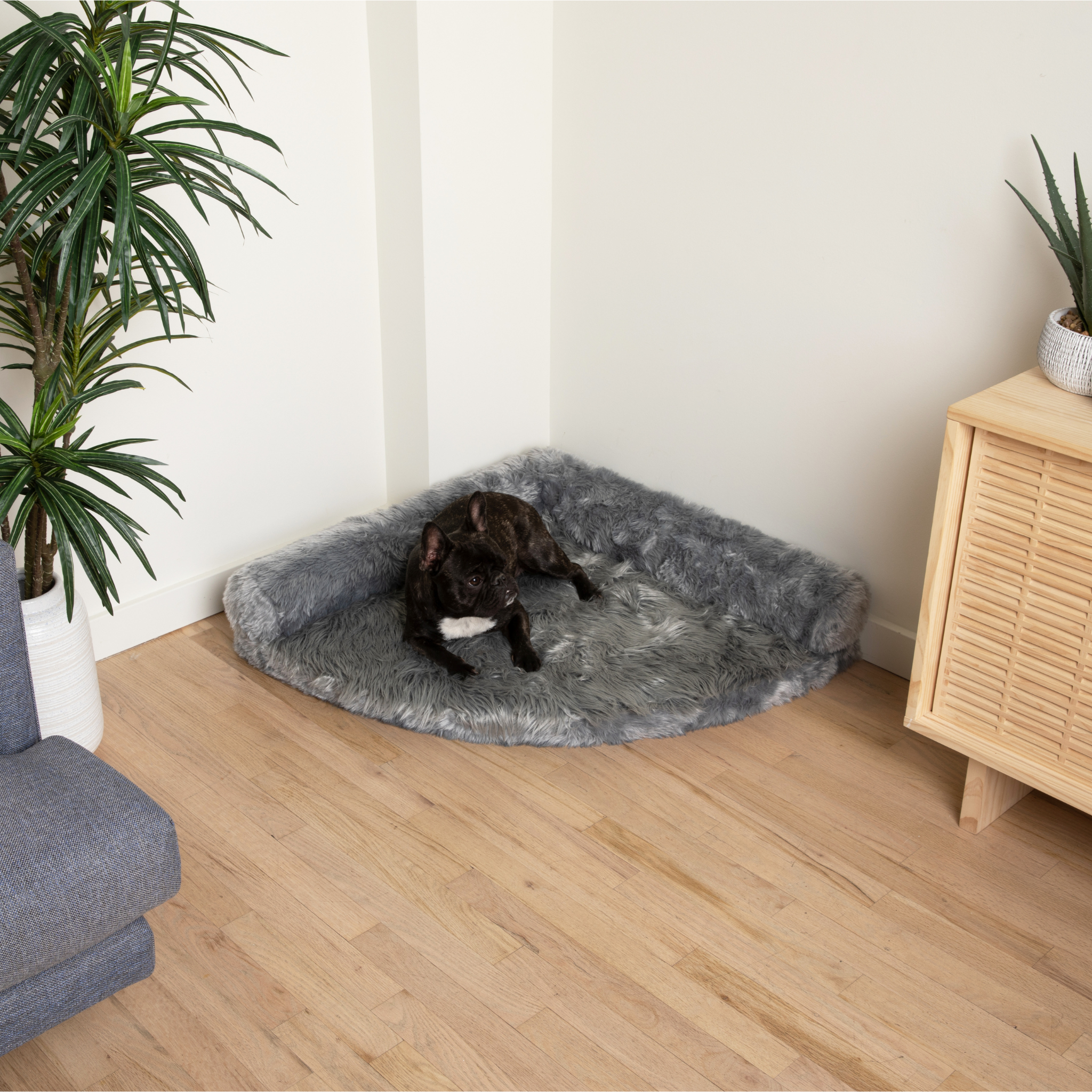 PupRug™ Memory Foam Corner Dog Bed - Charcoal Grey、mySite、solidvoid