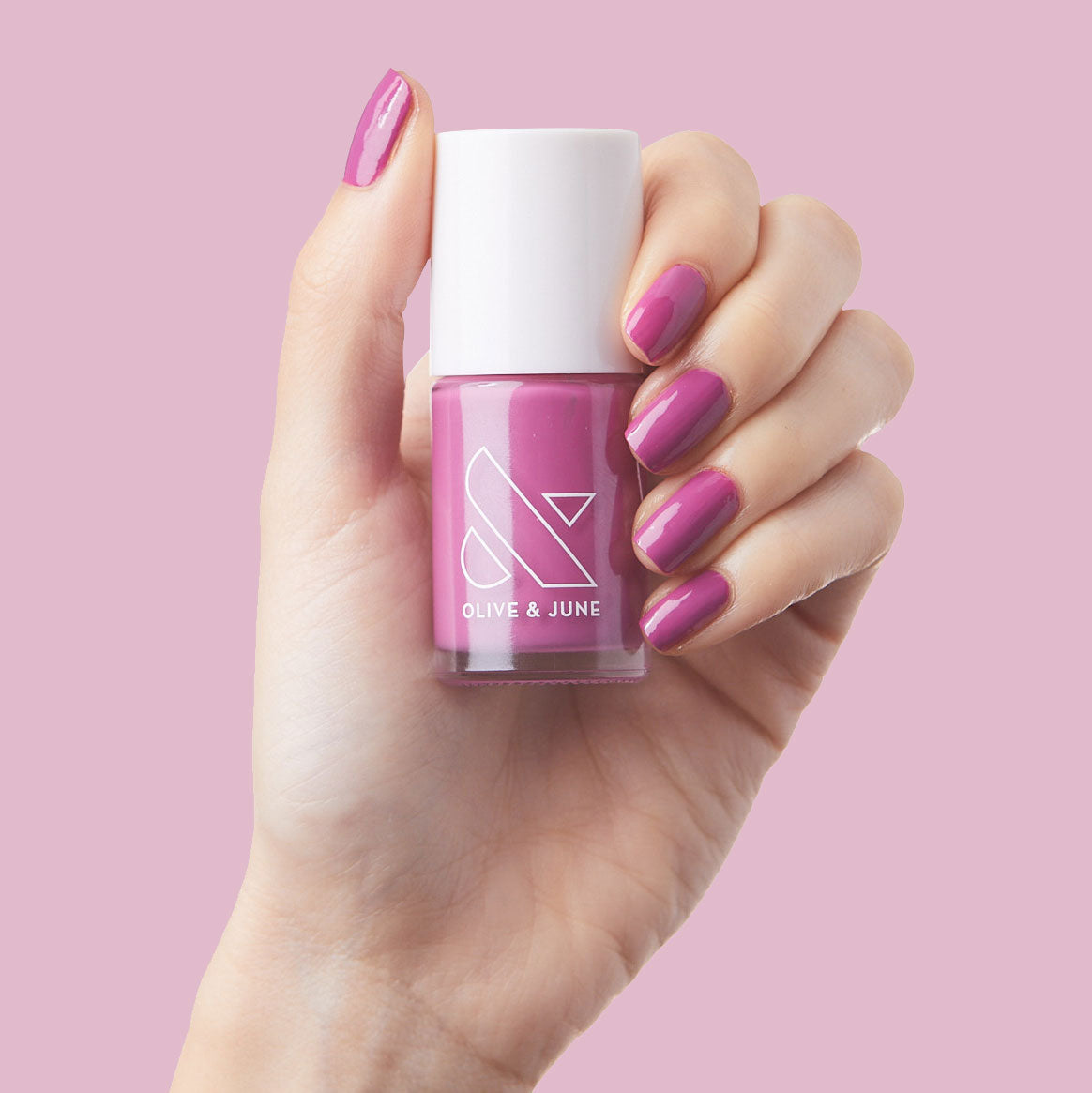 TLG、mySite、solidvoid