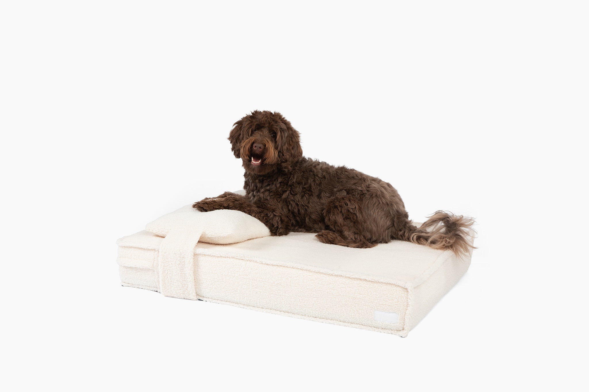  Orthopedic Pet Bed、mySite、sugarbowlscore